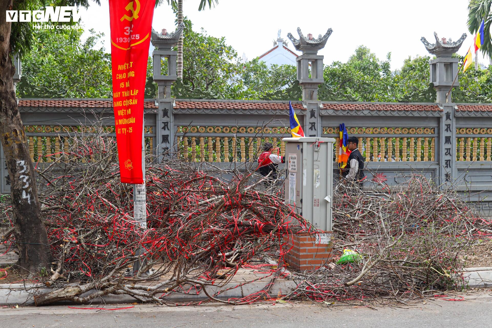 Hoa đào, mai vàng đại hạ giá, tiểu thương xả hàng về quê ăn Tết - 17