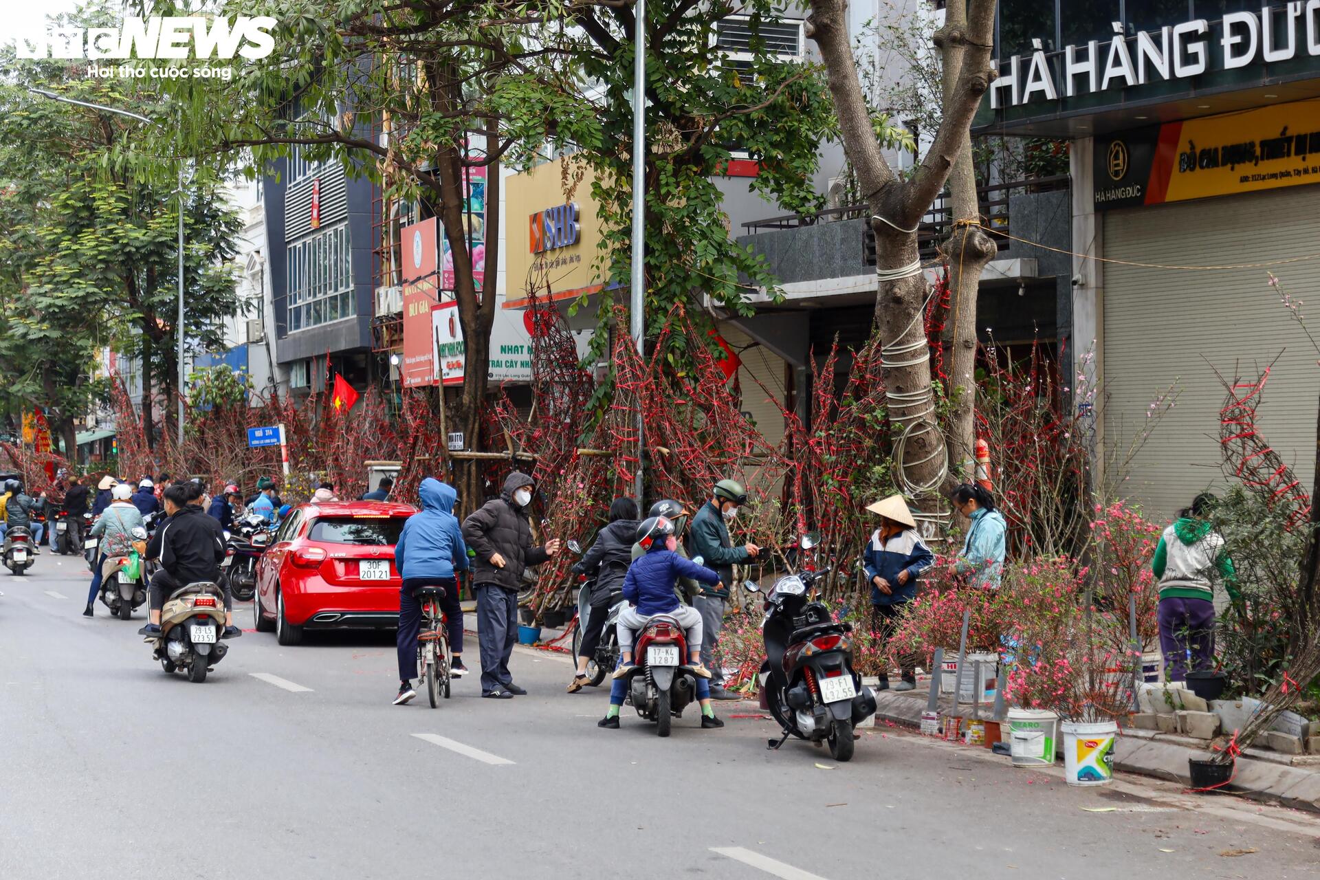 Hoa đào, mai vàng đại hạ giá, tiểu thương xả hàng về quê ăn Tết - 1