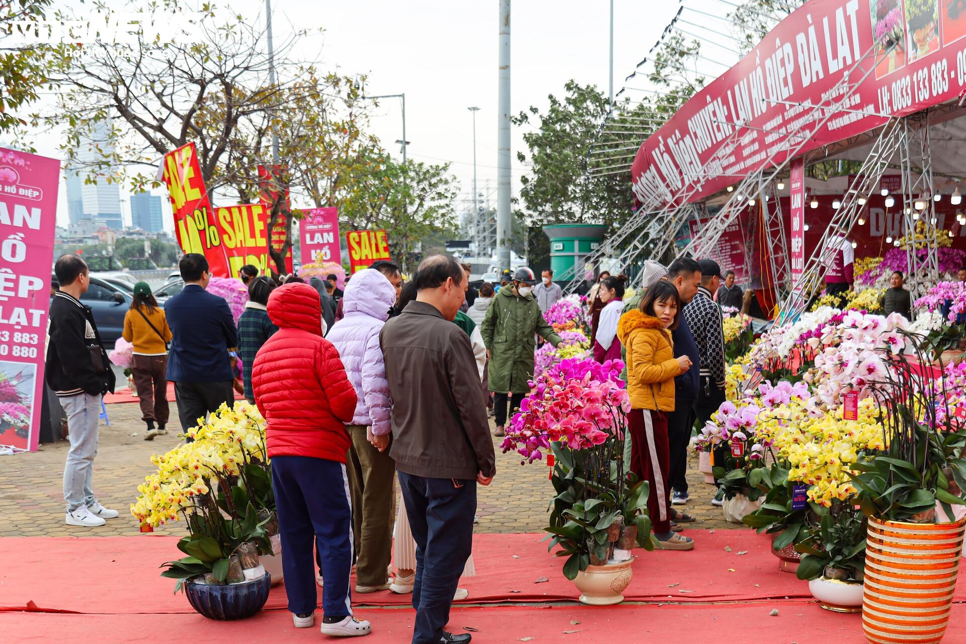 Hoa đào, mai vàng đại hạ giá, tiểu thương xả hàng về quê ăn Tết - 16