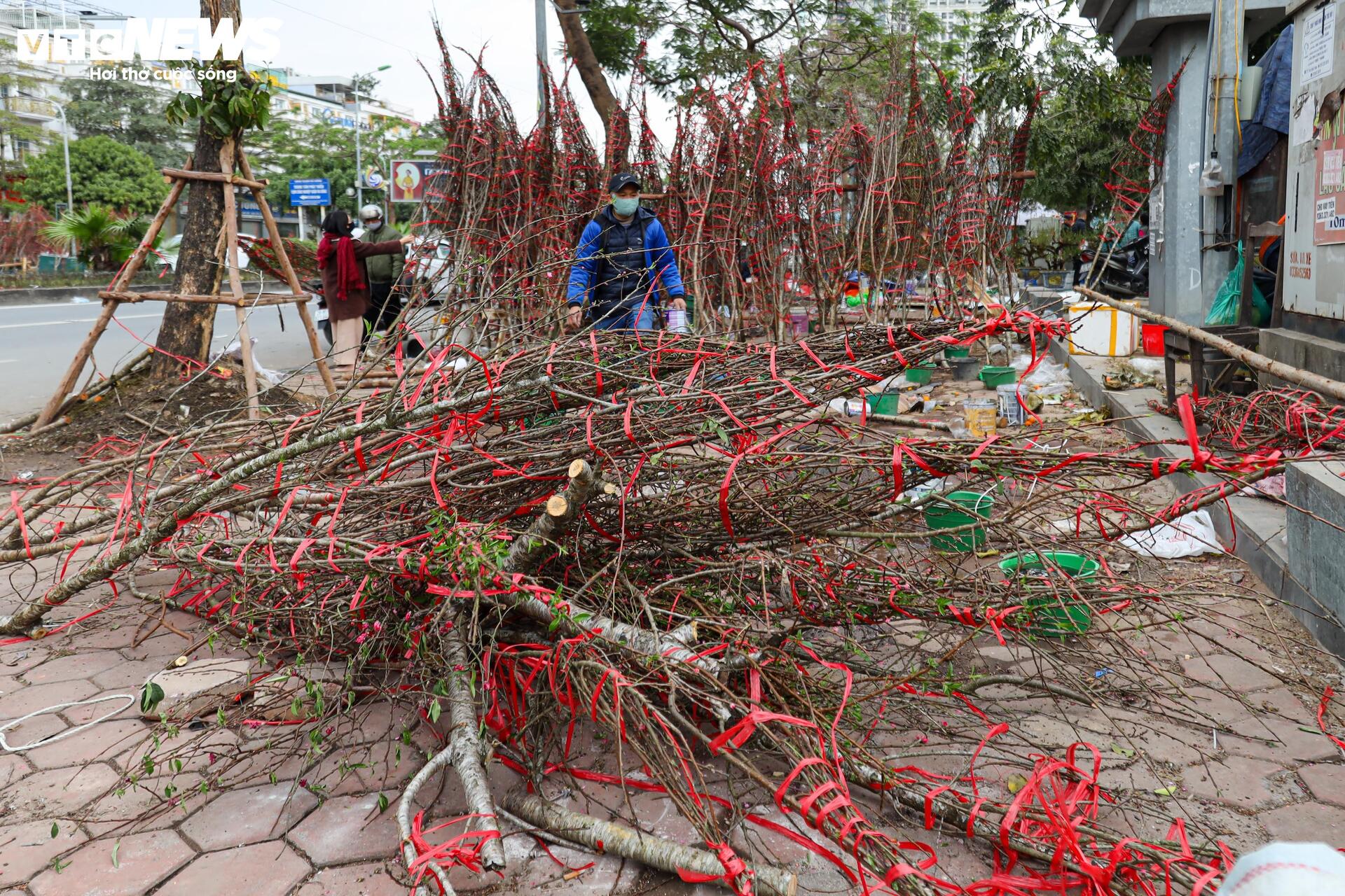 Hoa đào, mai vàng đại hạ giá, tiểu thương xả hàng về quê ăn Tết - 18