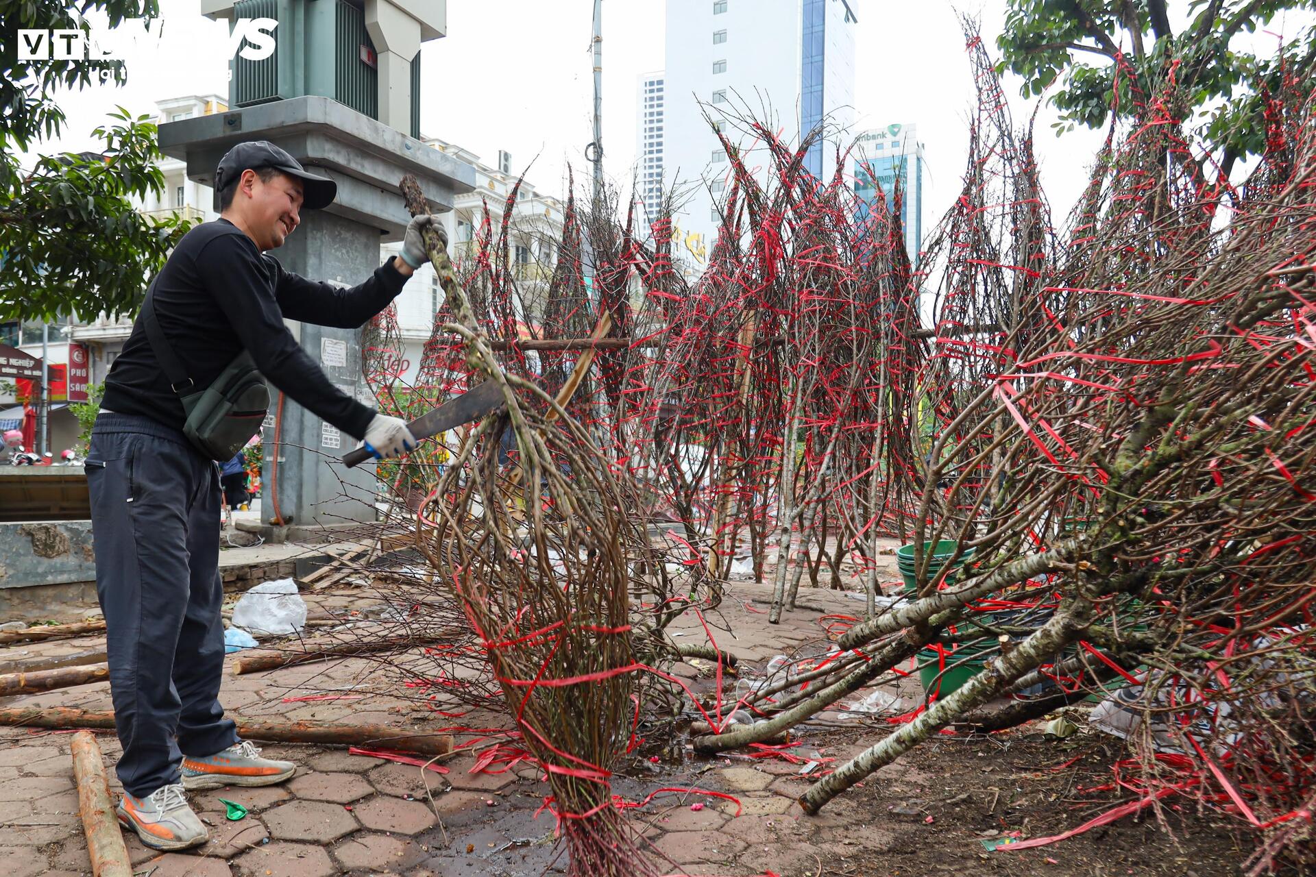 Hoa đào, mai vàng đại hạ giá, tiểu thương xả hàng về quê ăn Tết - 20