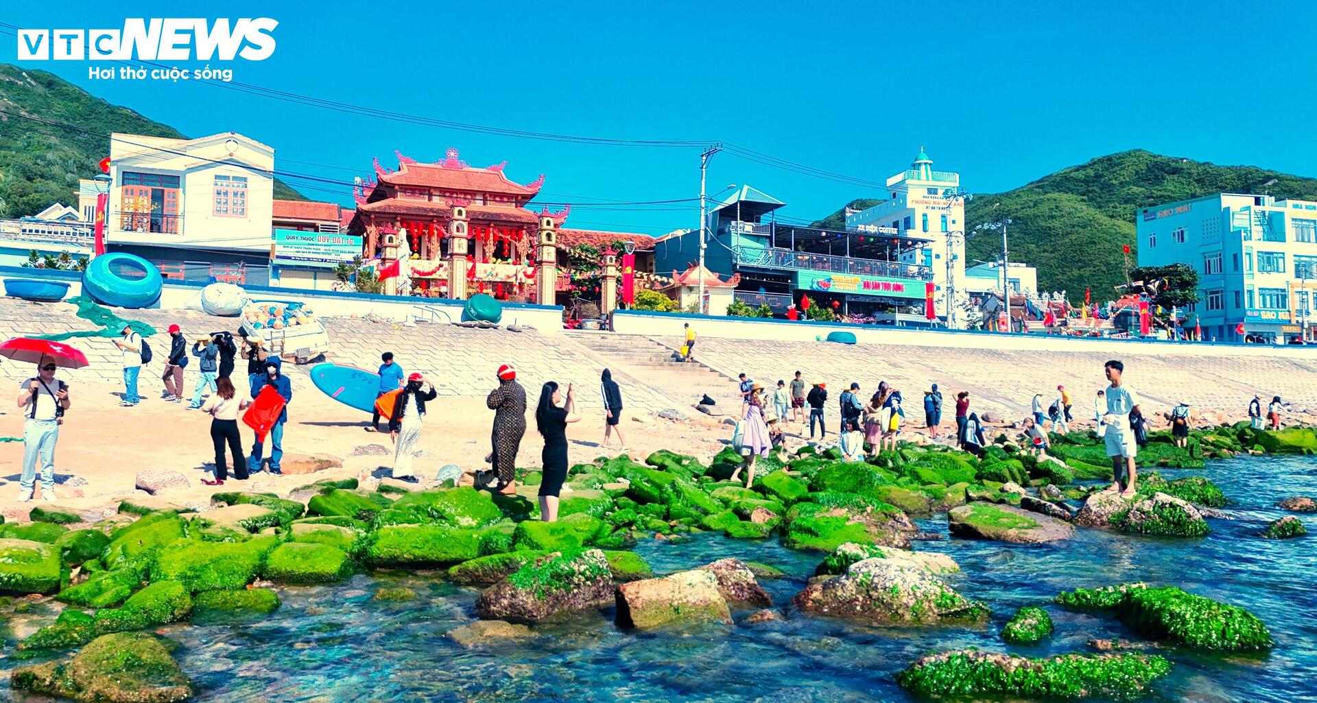 Nắng ấm, rêu xanh bung 'lộc' ở làng chài Quy Nhơn, giới trẻ đổ xô đến check-in - 3