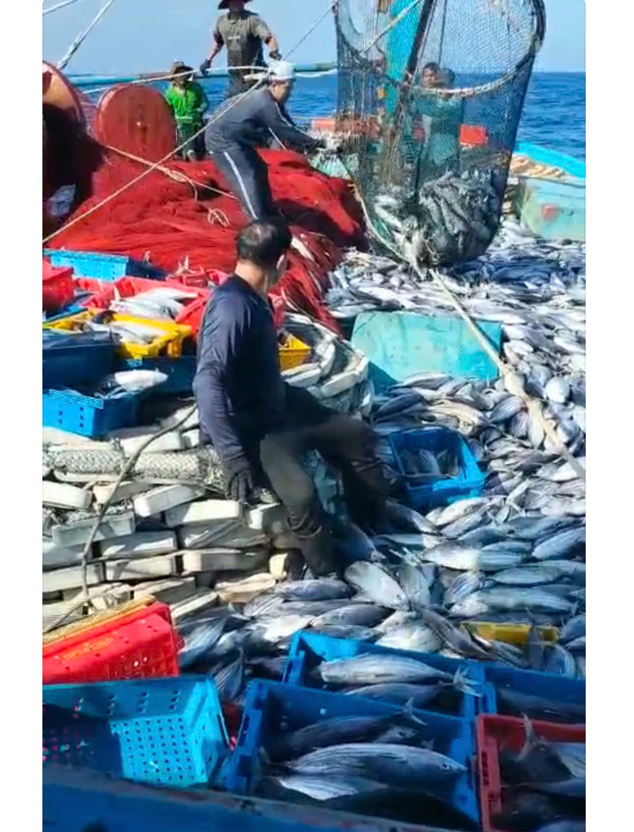 Với ngư dân, biển là máu, là tim, là mạng sống của mình. Còn với biển, họ là những chấm đỏ, những cột mốc sống trong hành trình giữ gìn chủ quyền biển đảo của Tổ quốc.