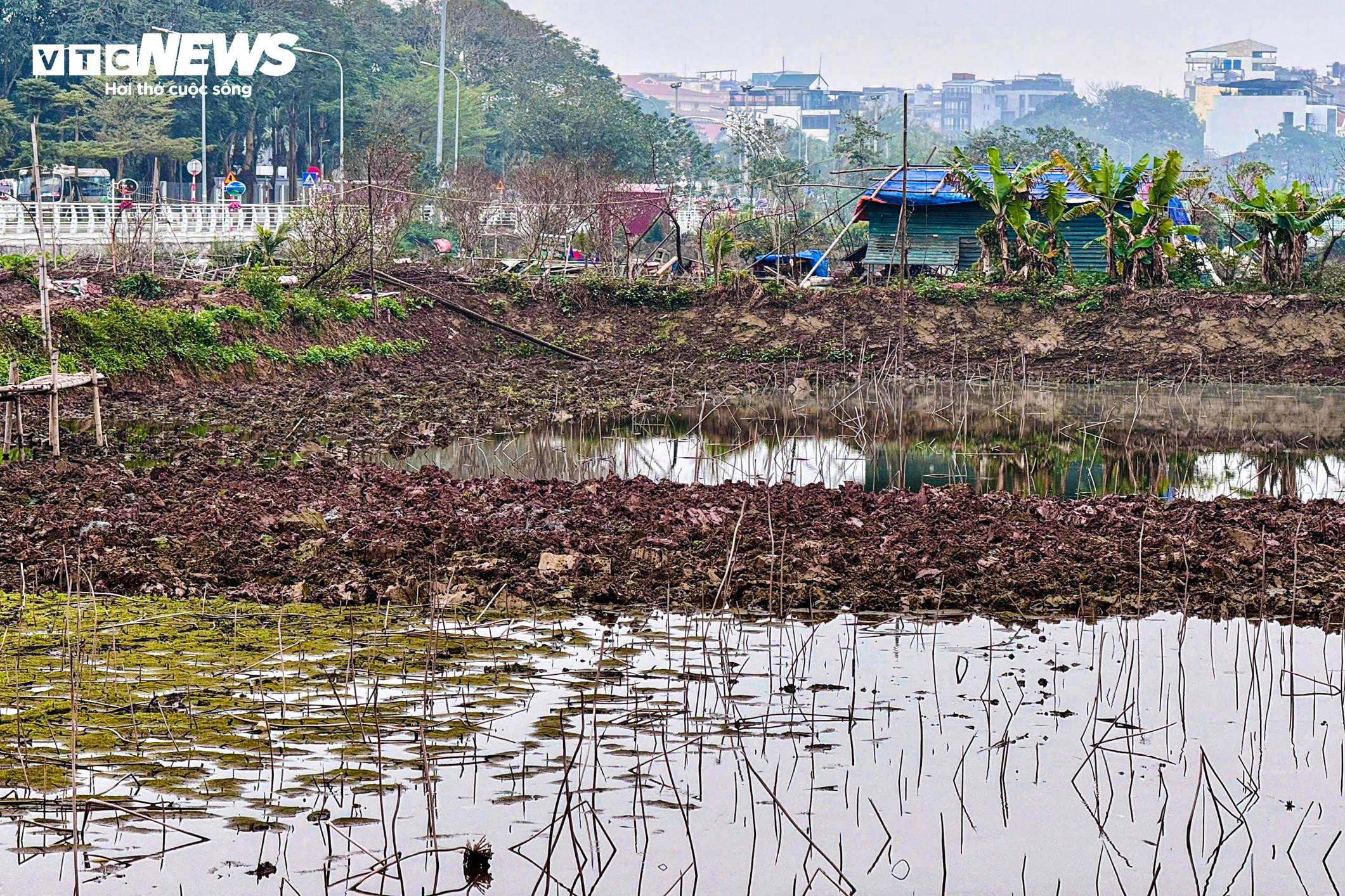 Hiện trạng nơi được cải tạo làm hồ trung gian hồi sinh sông Tô Lịch - 12