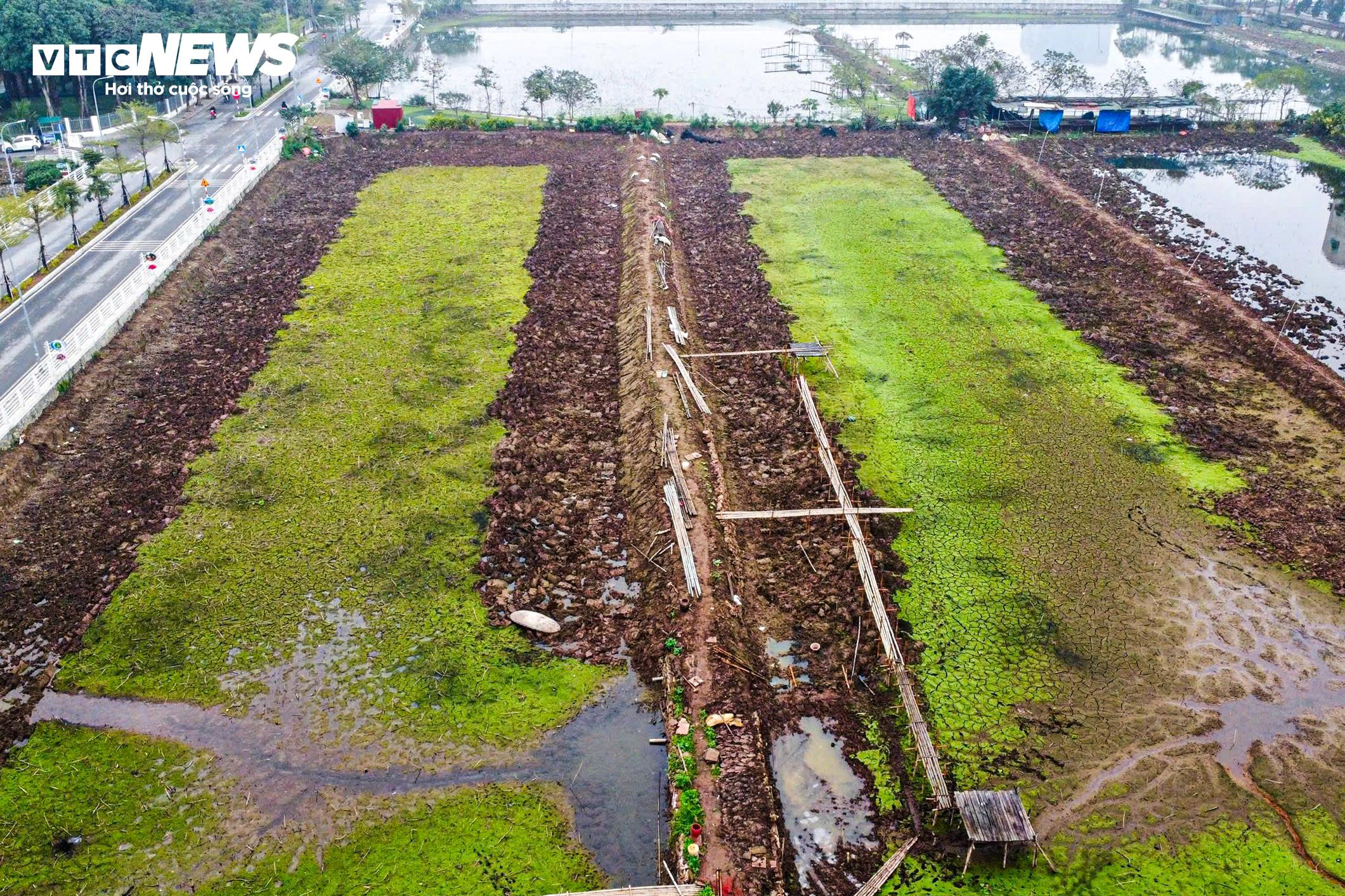 Hiện trạng nơi được cải tạo làm hồ trung gian hồi sinh sông Tô Lịch - 6
