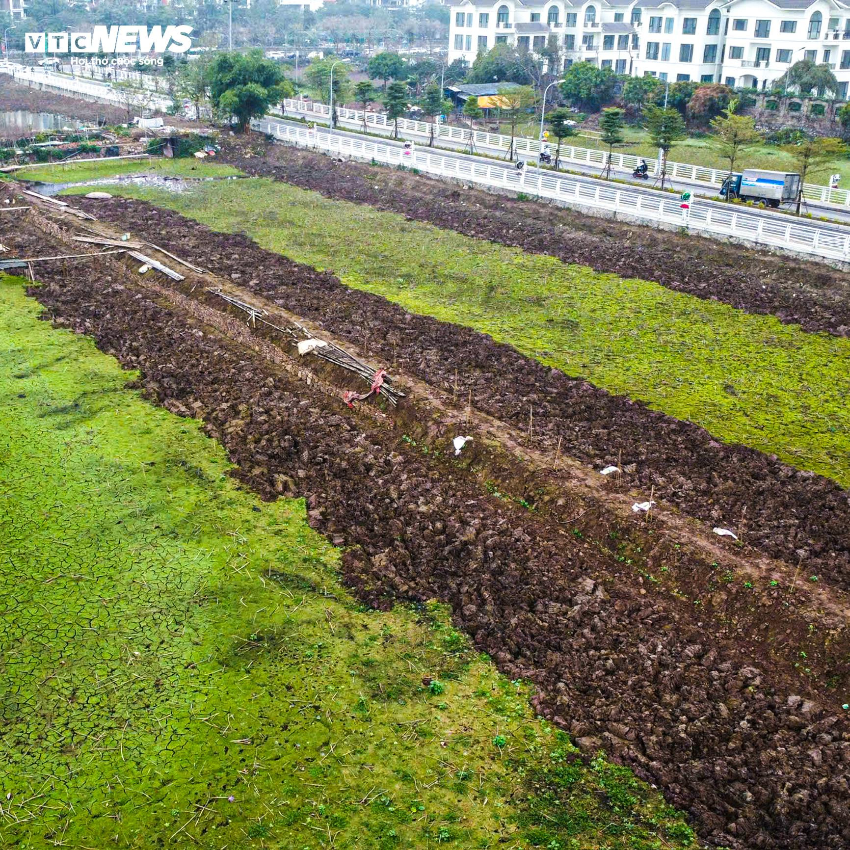 Hiện trạng nơi được cải tạo làm hồ trung gian hồi sinh sông Tô Lịch - 5