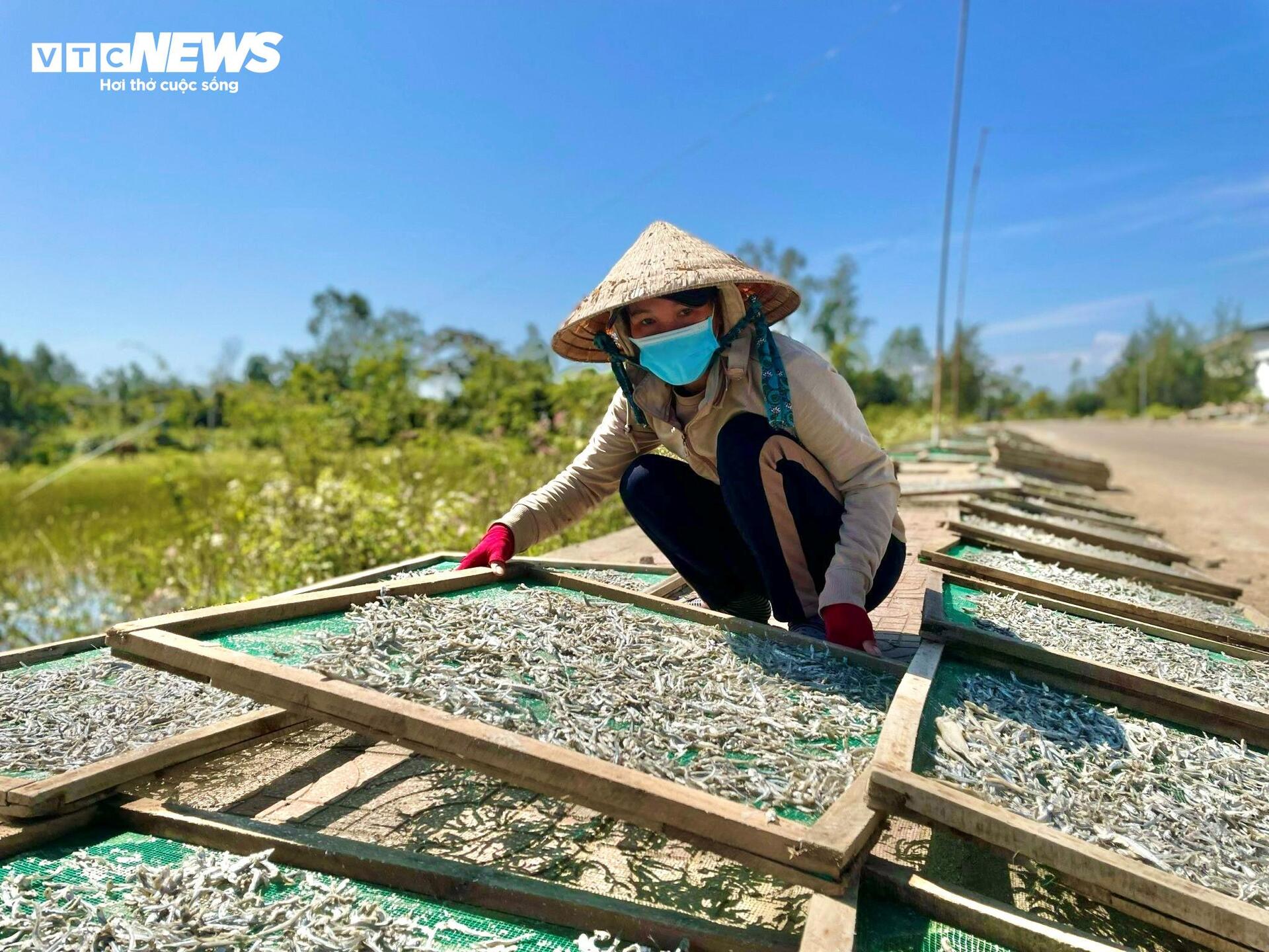 Ngư dân Quảng Ngãi trúng đậm cá cơm, nghề hấp cá tất bật vào vụ - 9