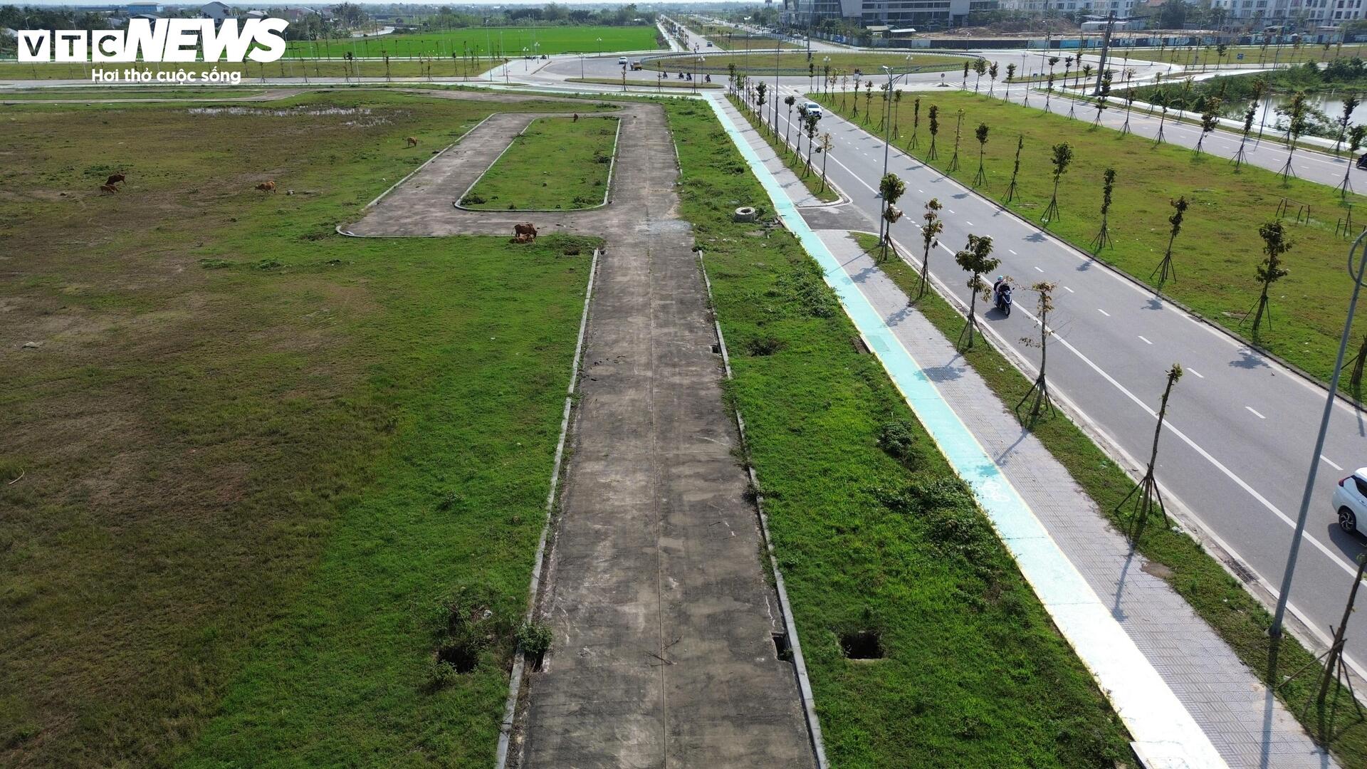 Quảng trường trăm tỷ ở trung tâm TP Huế thành nơi thả bò - 5