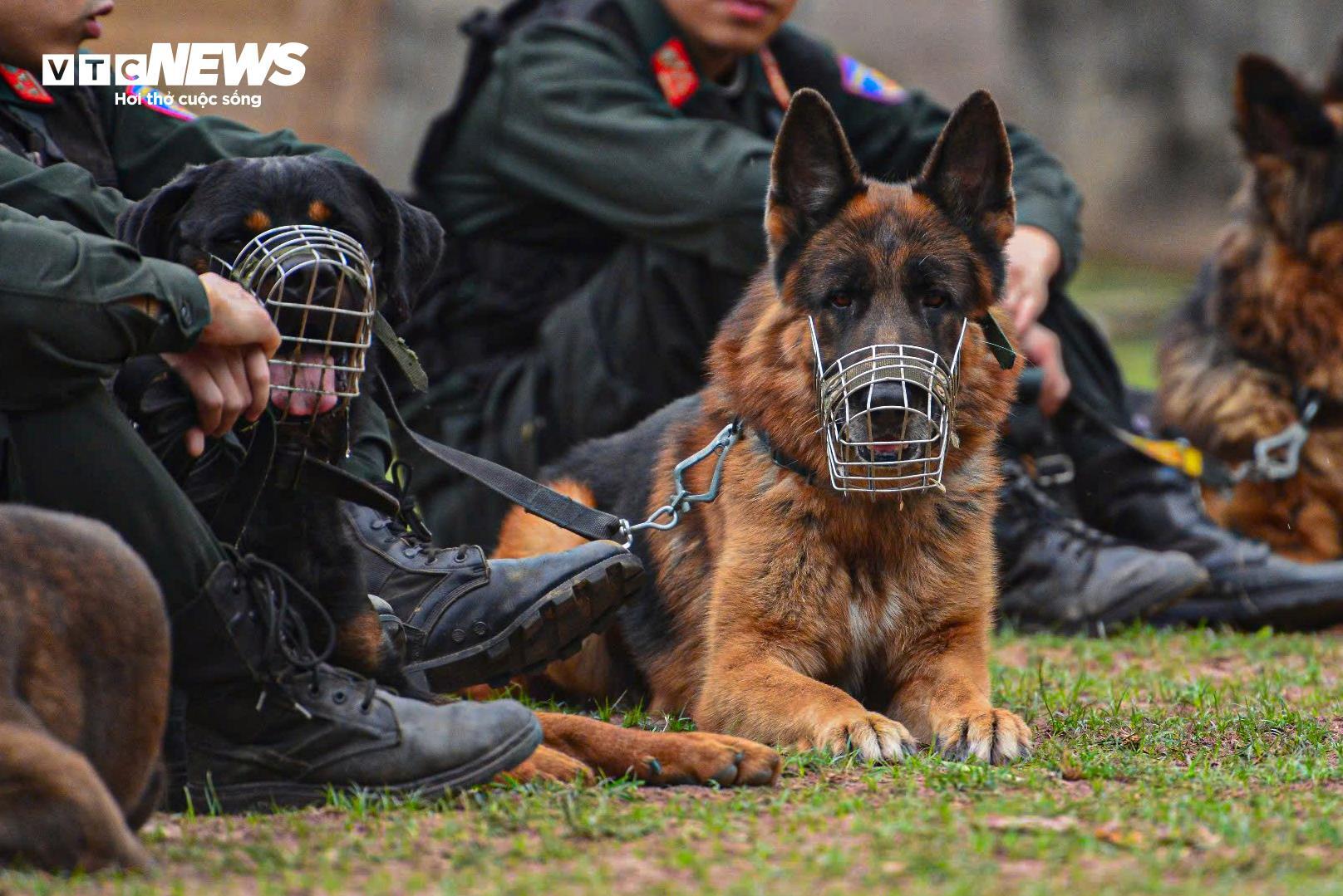 Cảnh khuyến trổ tài vượt vòng lửa, tìm ma tuý, dũng mãnh tấn công tội phạm - 15