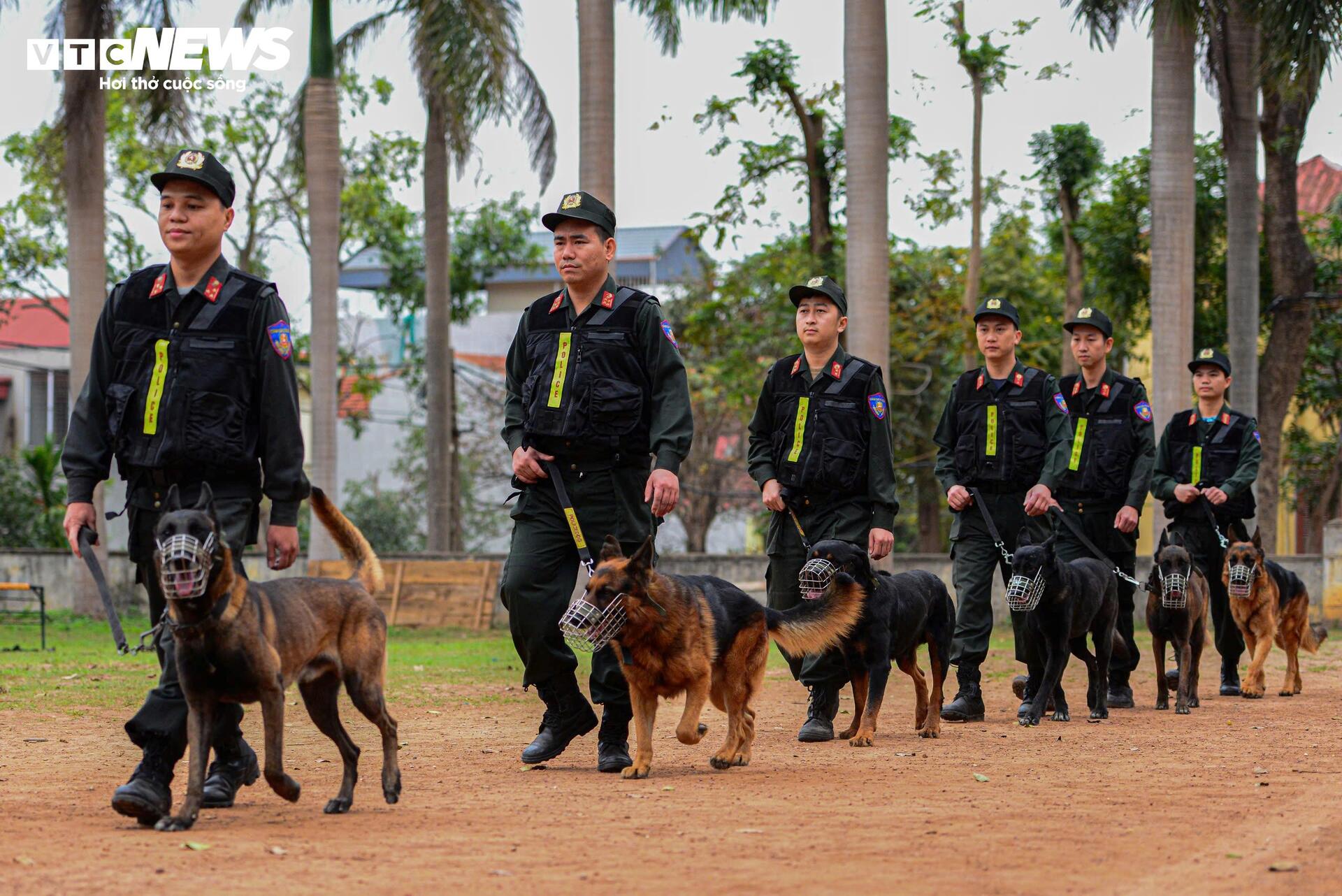 Cảnh khuyến trổ tài vượt vòng lửa, tìm ma tuý, dũng mãnh tấn công tội phạm - 1