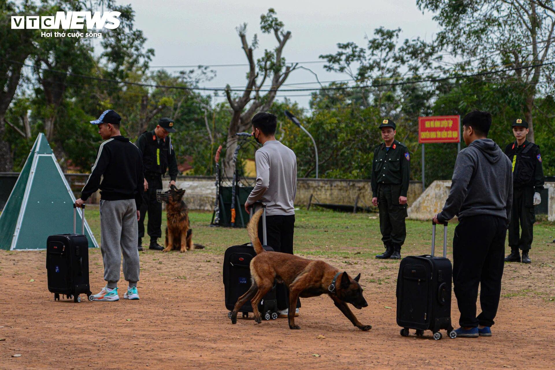 Cảnh khuyến trổ tài vượt vòng lửa, tìm ma tuý, dũng mãnh tấn công tội phạm - 2