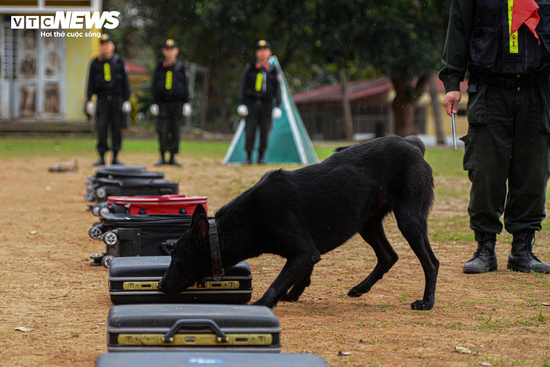 Cảnh khuyến trổ tài vượt vòng lửa, tìm ma tuý, dũng mãnh tấn công tội phạm - 3