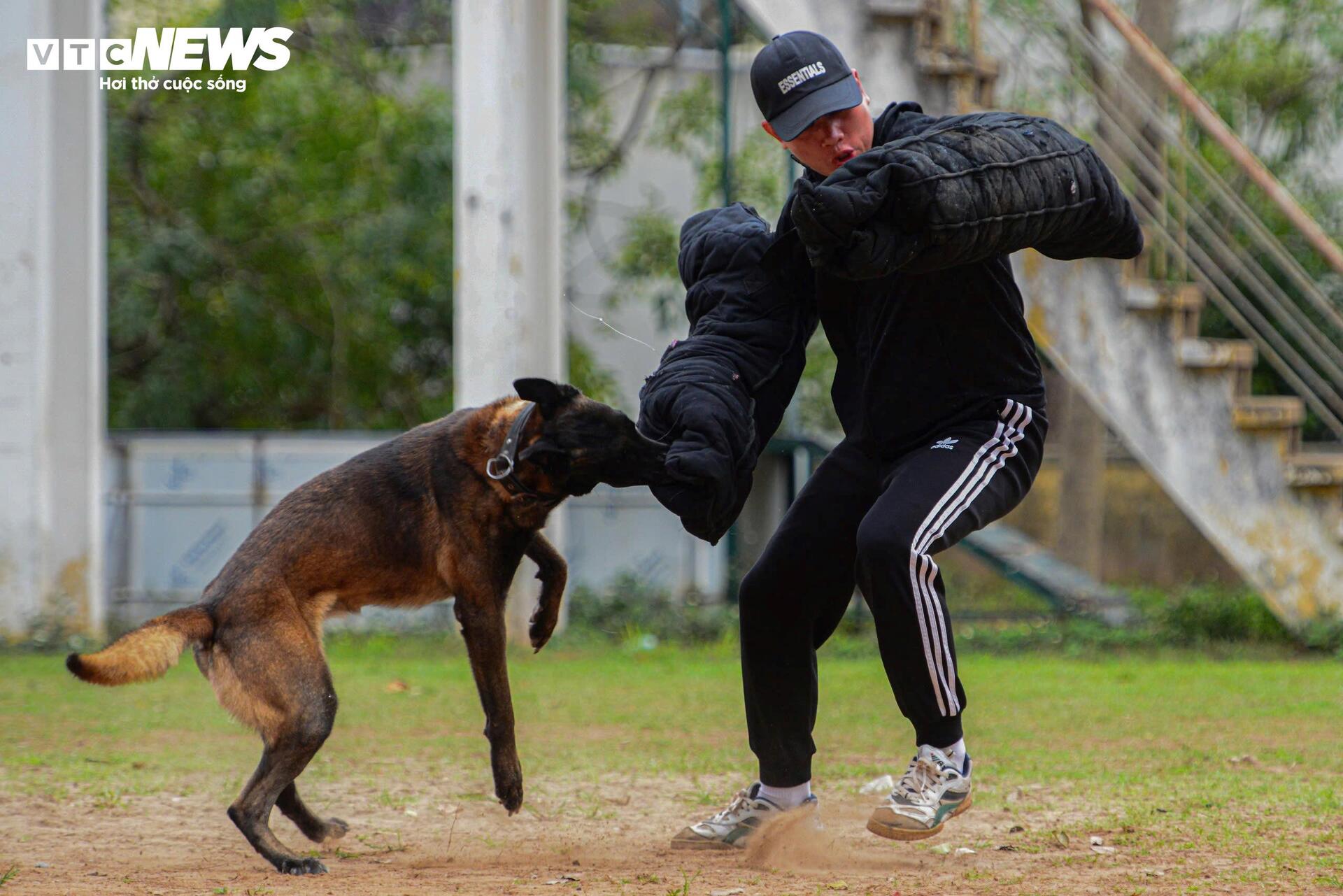 Cảnh khuyến trổ tài vượt vòng lửa, tìm ma tuý, dũng mãnh tấn công tội phạm - 5
