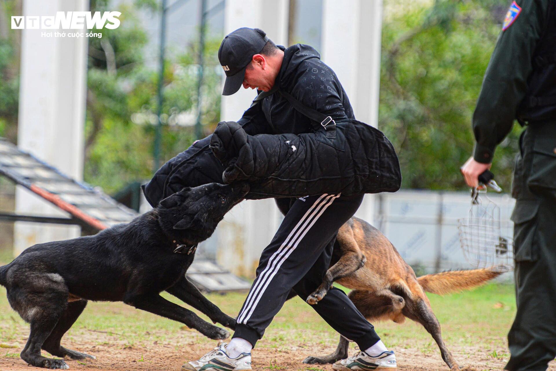 Cảnh khuyến trổ tài vượt vòng lửa, tìm ma tuý, dũng mãnh tấn công tội phạm - 6