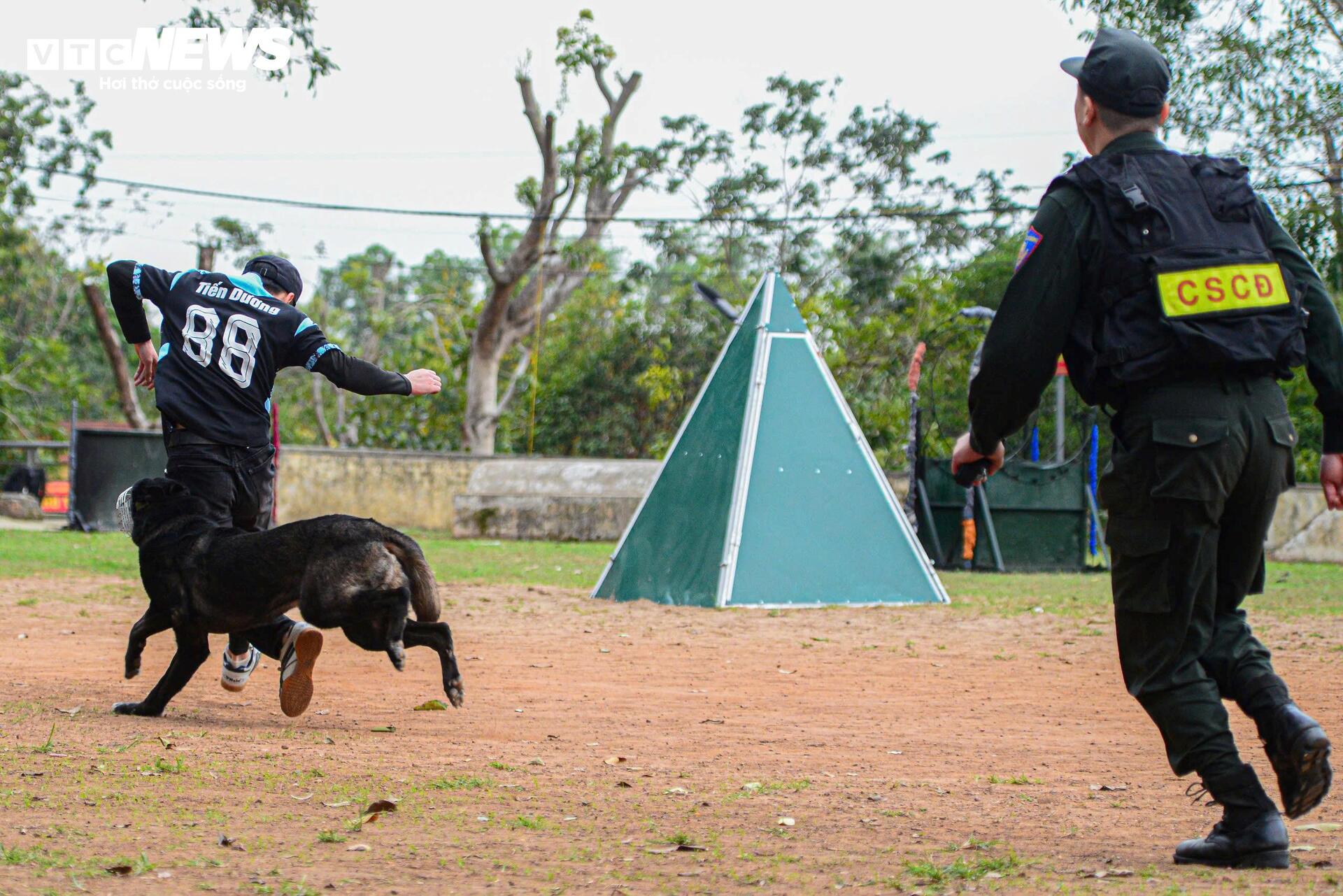 Cảnh khuyến trổ tài vượt vòng lửa, tìm ma tuý, dũng mãnh tấn công tội phạm - 8