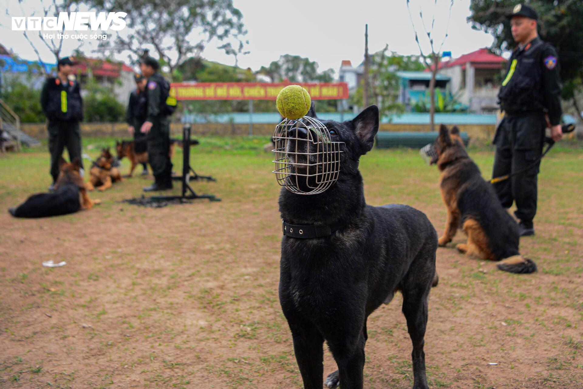 Cảnh khuyến trổ tài vượt vòng lửa, tìm ma tuý, dũng mãnh tấn công tội phạm - 18