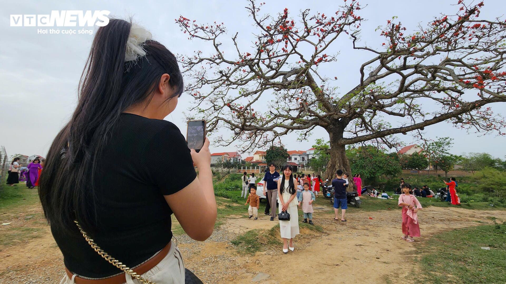 Check-in cây hoa gạo trăm tuổi ở nơi phát tích bài thơ thần 'Nam quốc sơn hà' - 3