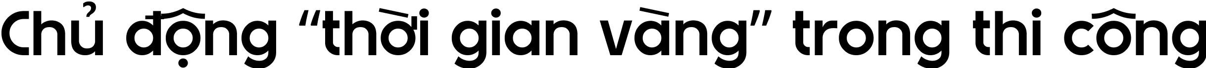 Ngành điện miền Nam 'cán đích' 50 công trình mừng 50 năm Giải phóng miền Nam - 8