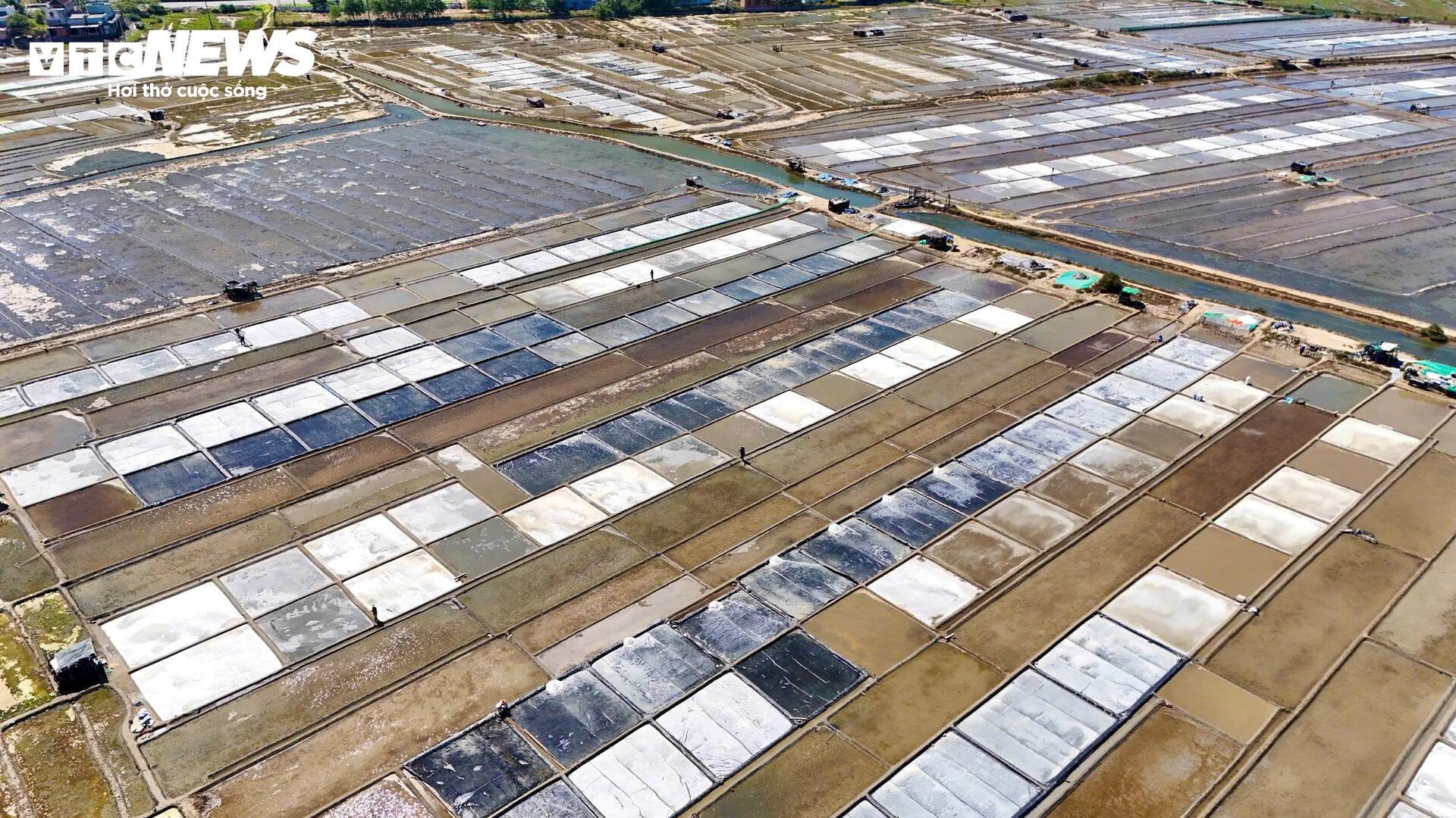 Diêm dân 'đội nắng' cào muối trên cánh đồng hơn 200 năm tuổi - 1