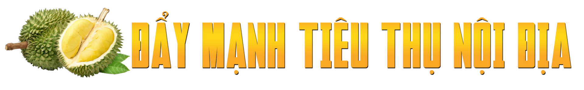 Sầu riêng rớt giá thê thảm, làm sao ‘giảm phụ thuộc vào thị trường tỷ USD’?- Ảnh 4. Sầu riêng rớt giá thê thảm, làm sao ‘giảm phụ thuộc vào thị trường tỷ USD’?- Ảnh 4.