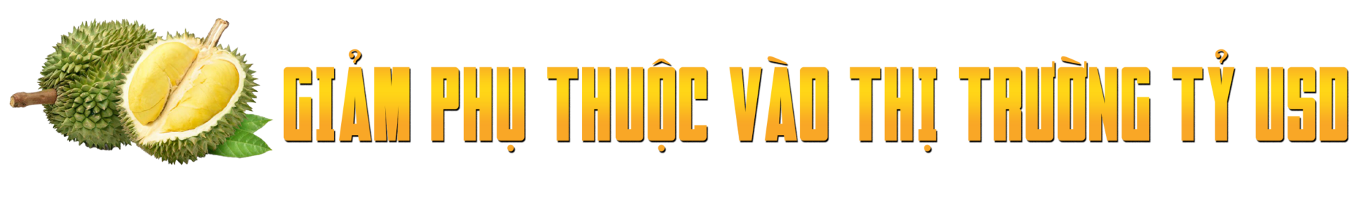 Sầu riêng rớt giá thê thảm, làm sao ‘giảm phụ thuộc vào thị trường tỷ USD’?- Ảnh 6. Sầu riêng rớt giá thê thảm, làm sao ‘giảm phụ thuộc vào thị trường tỷ USD’?- Ảnh 6.