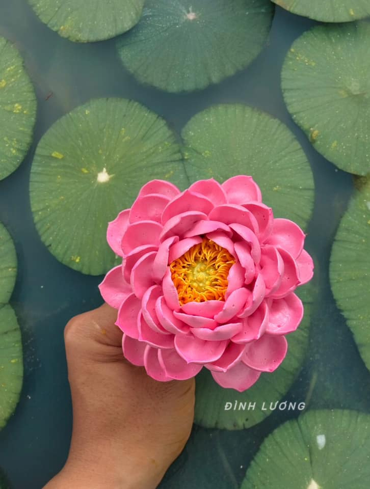 Chàng trai TP.HCM làm hoa bằng kem 'thật còn hơn cả hoa thật' - 21