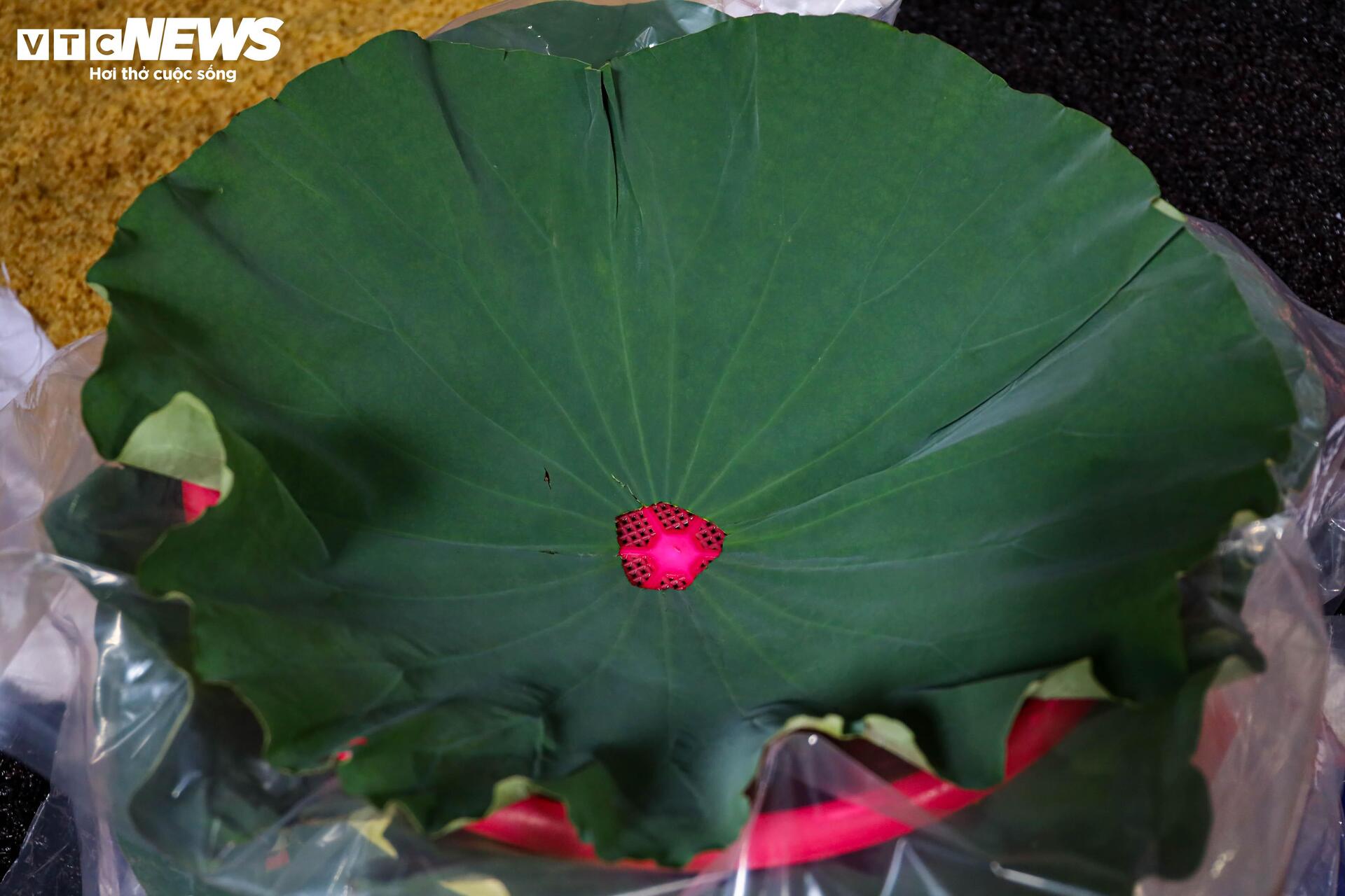 Tết Đoan ngọ cận kề, làng rượu nếp tất bật xuyên đêm - 11