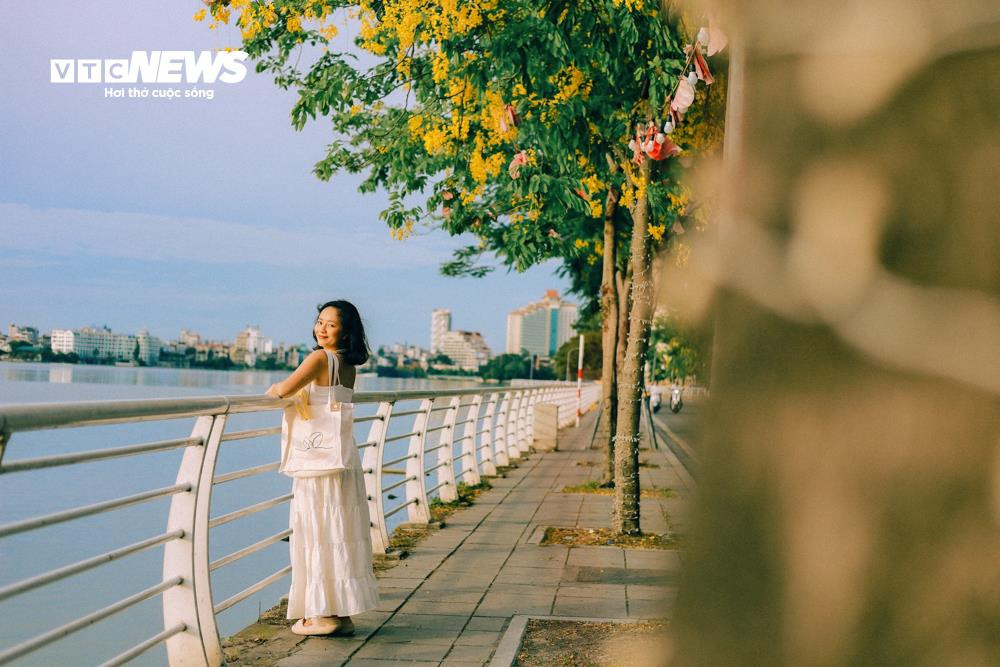 Hoa muồng hoàng yến khoe sắc vàng rực rỡ ven Hồ Tây - 8