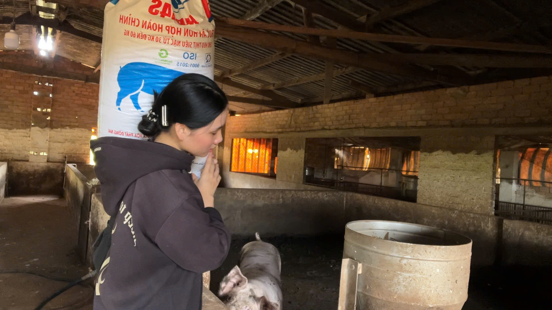Mỹ nhân gen Z hút triệu view với cảnh vác tải cám phăng phăng nuôi 200 con lợn - 1