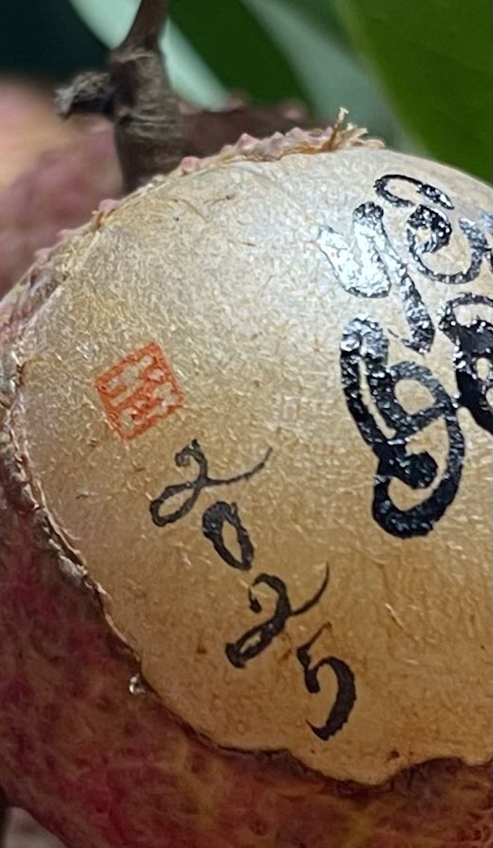 Viết thư pháp trên quả vải thiều, chàng trai gen Z Hà Nội gây sốt mạng - 7
