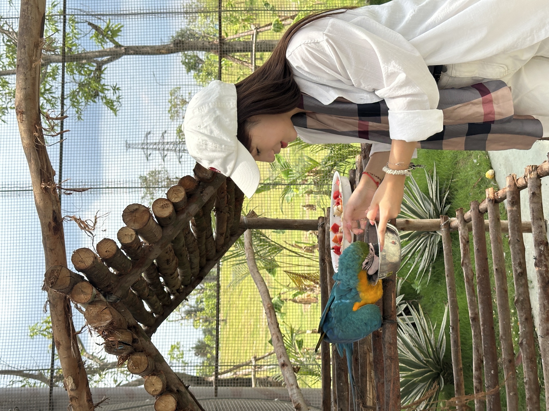 Descubra el parque de atracciones y zoológico más grande del norte en Hai Phong - 14