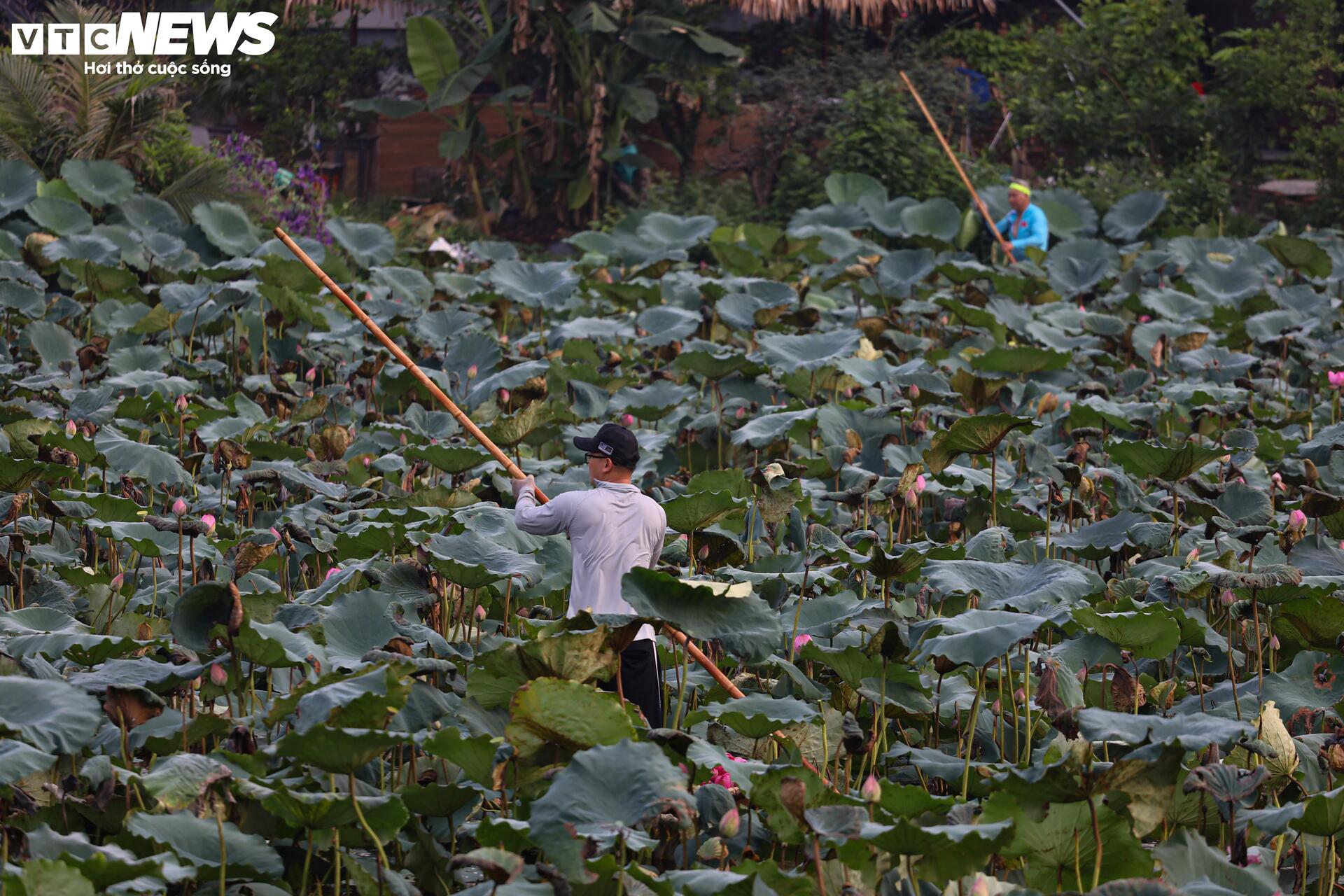 តើតម្លៃពិសេសបំផុតហាណូយដែលមានតម្លៃជាងលានដុង/ ការចំណាយតាមវិធីណា? - ២