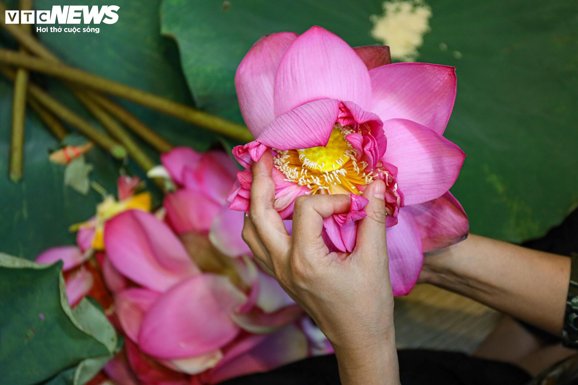 តើតម្លៃពិសេសបំផុតហាណូយដែលមានតម្លៃជាងលានដុង/ ការចំណាយតាមវិធីណា? - គ្មាន