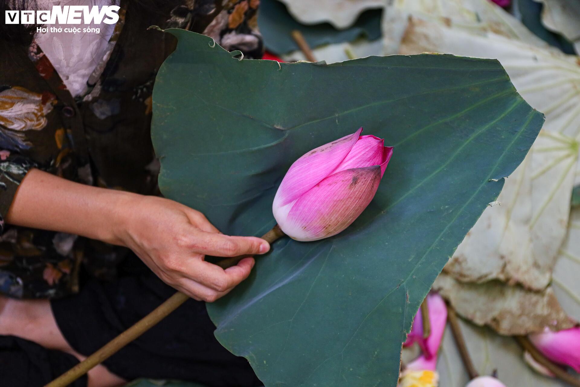 តើតម្លៃពិសេសបំផុតហាណូយដែលមានតម្លៃជាងលានដុង/ ការចំណាយតាមវិធីណា? - ធី