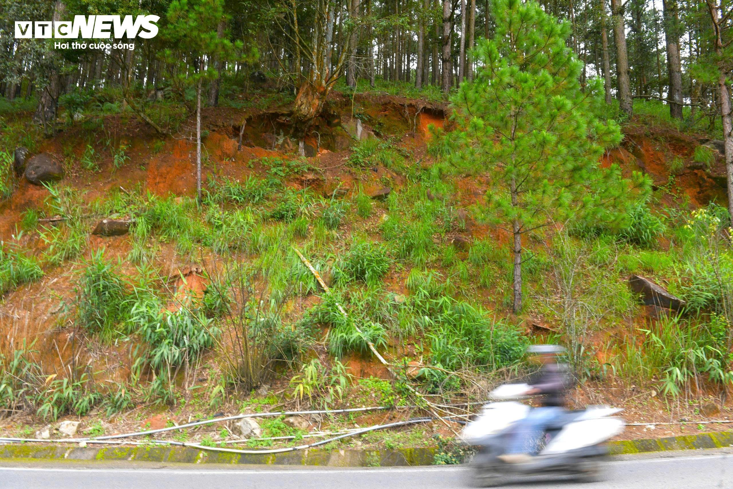 Rùng mình đi dưới những quả đồi chực chờ sạt lở ở Đà Lạt - 3