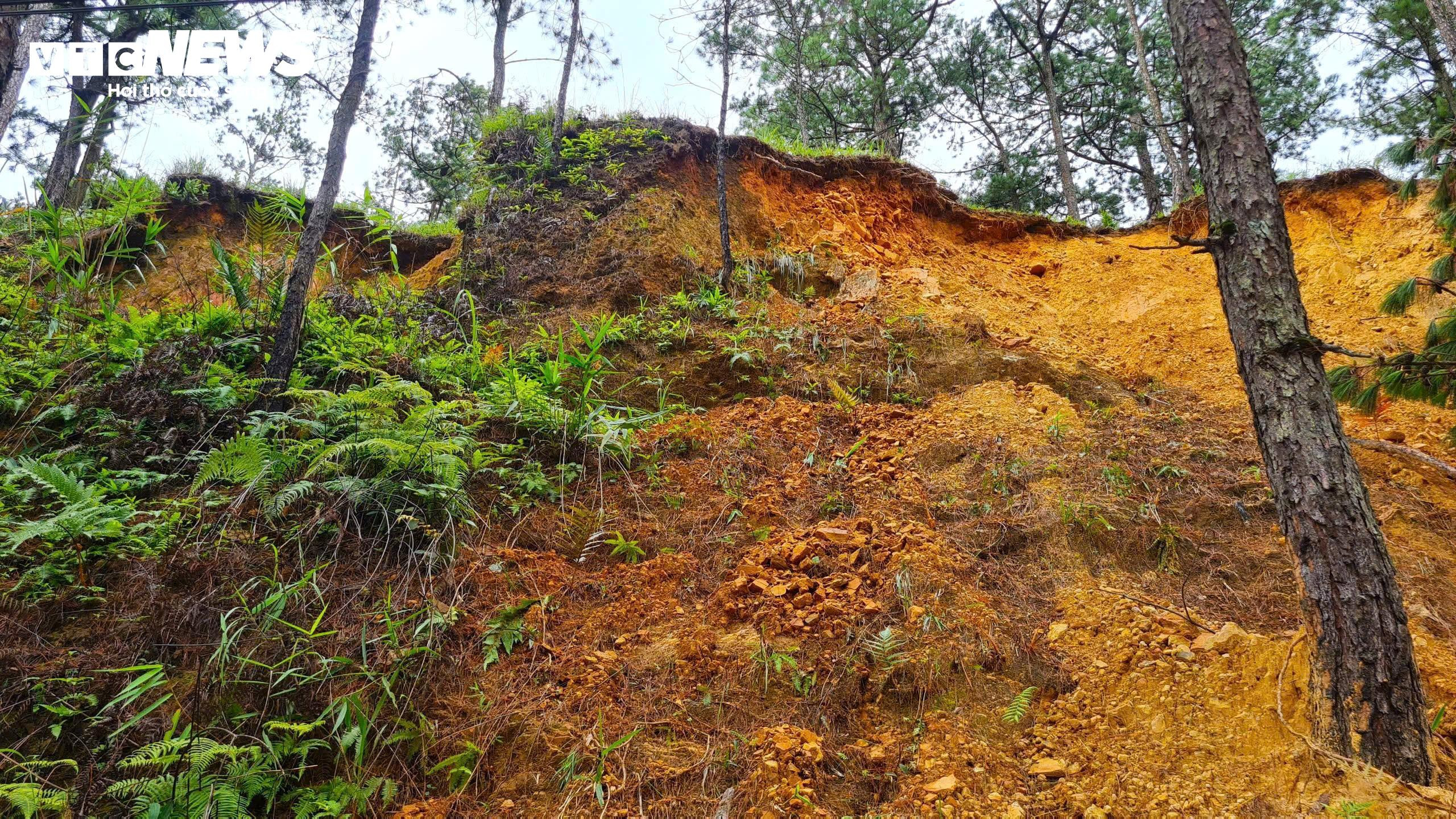 Rùng mình đi dưới những quả đồi chực chờ sạt lở ở Đà Lạt - 6