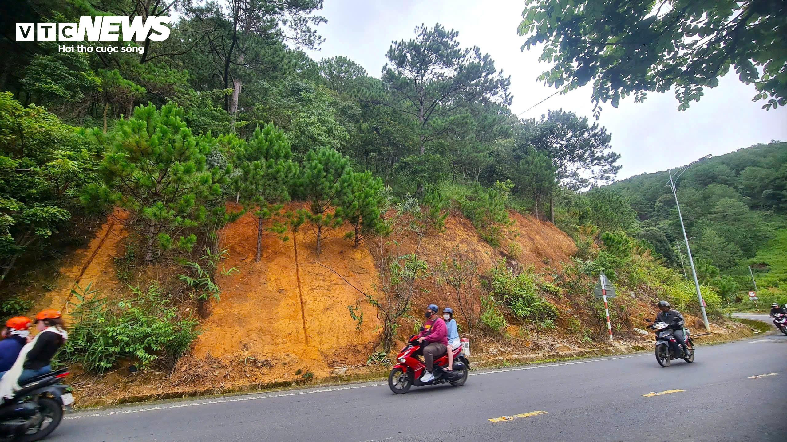 Rùng mình đi dưới những quả đồi chực chờ sạt lở ở Đà Lạt - 9
