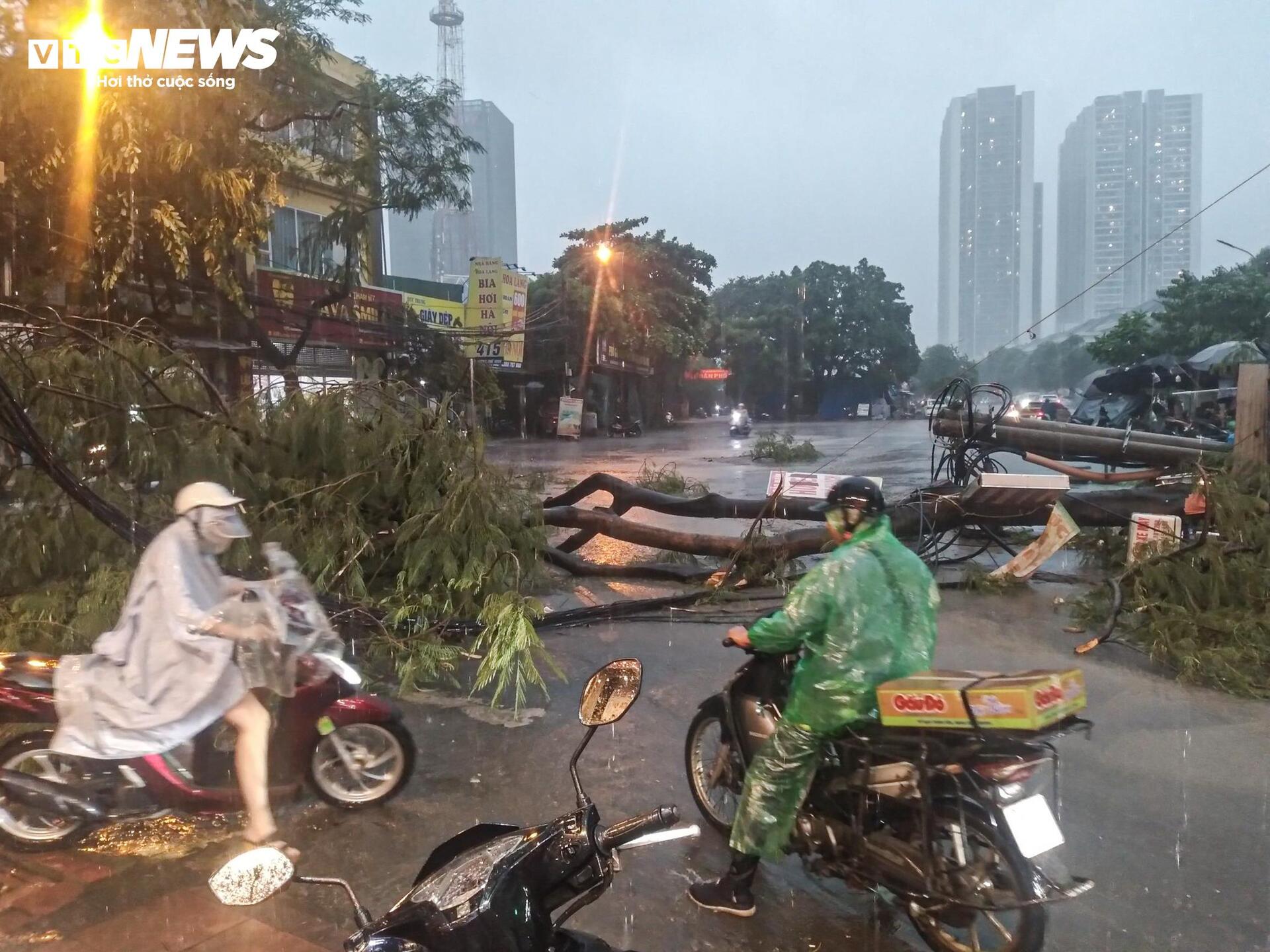Mưa to gió lớn ở Hà Nội: Tôn công trường đổ sập, cây gãy nằm la liệt - 3