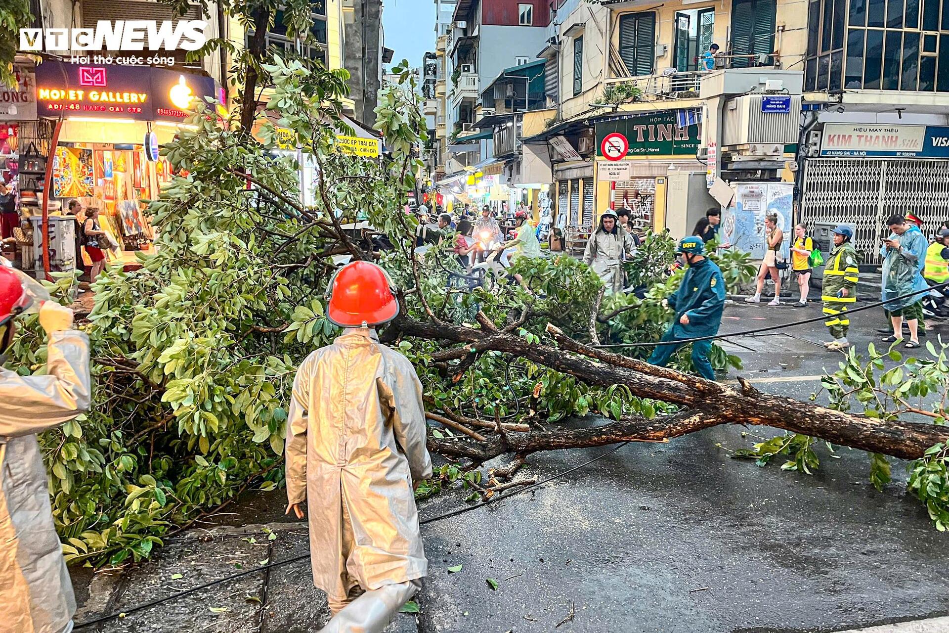 Mưa to gió lớn ở Hà Nội: Tôn công trường đổ sập, cây gãy nằm la liệt - 8