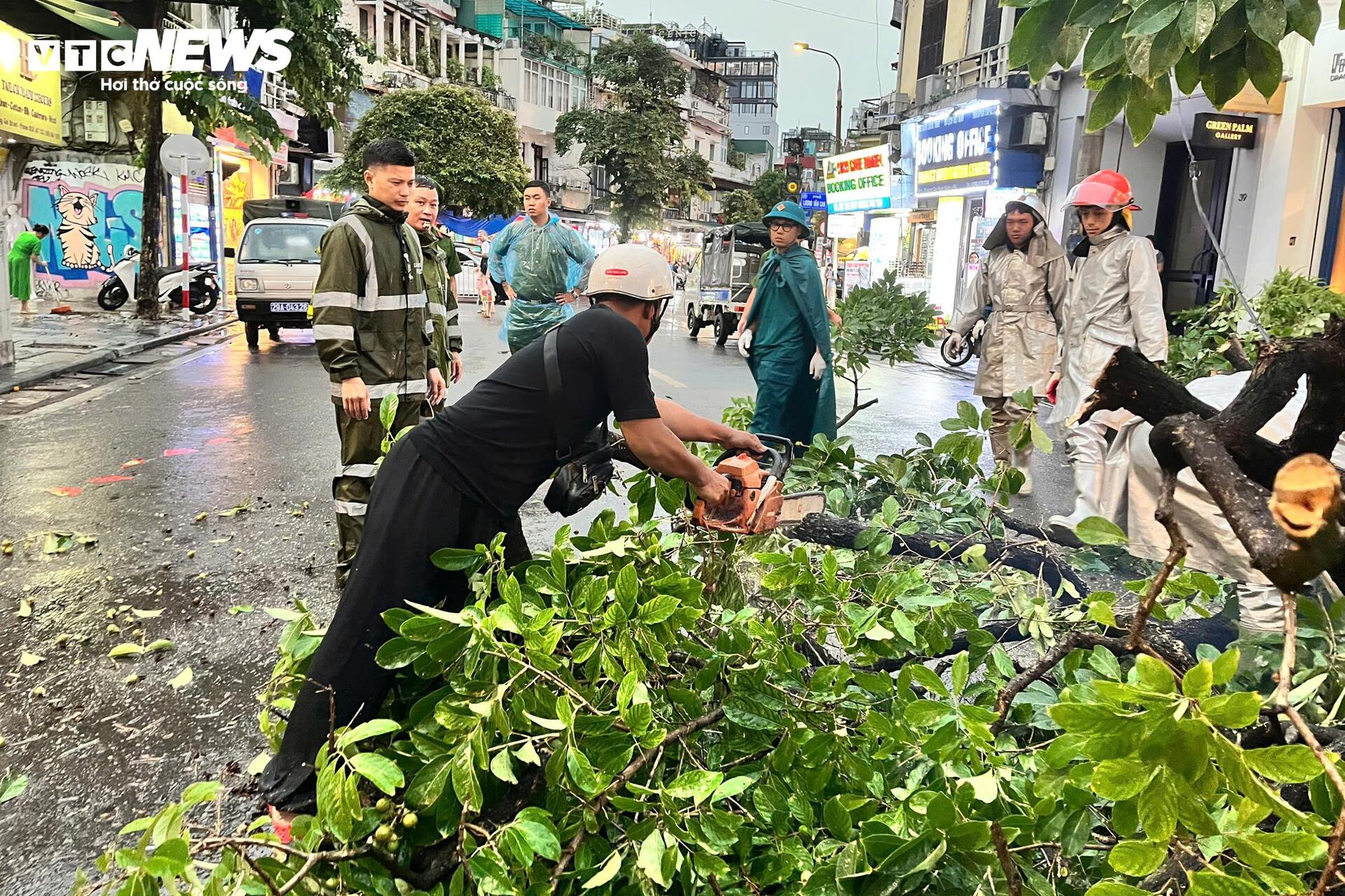 Mưa to gió lớn ở Hà Nội: Tôn công trường đổ sập, cây gãy nằm la liệt - 9