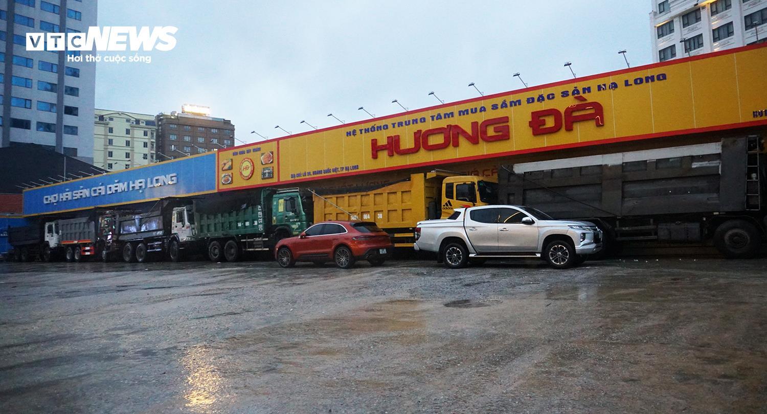 Người dân Quảng Ninh thuê dàn container, xe tải chặn trước cửa ứng phó bão Wipha - 4
