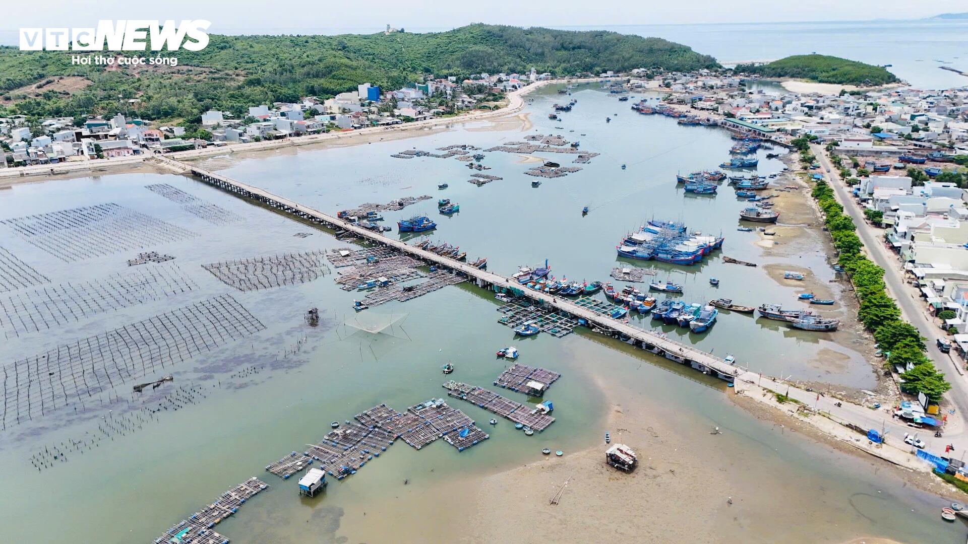 Cầu chực chờ đổ sập, ngư dân vẫn bất chấp neo đậu tàu thuyền - 8