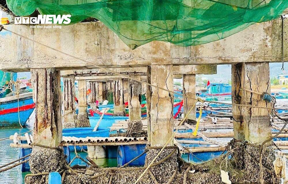 Cầu chực chờ đổ sập, ngư dân vẫn bất chấp neo đậu tàu thuyền - 2
