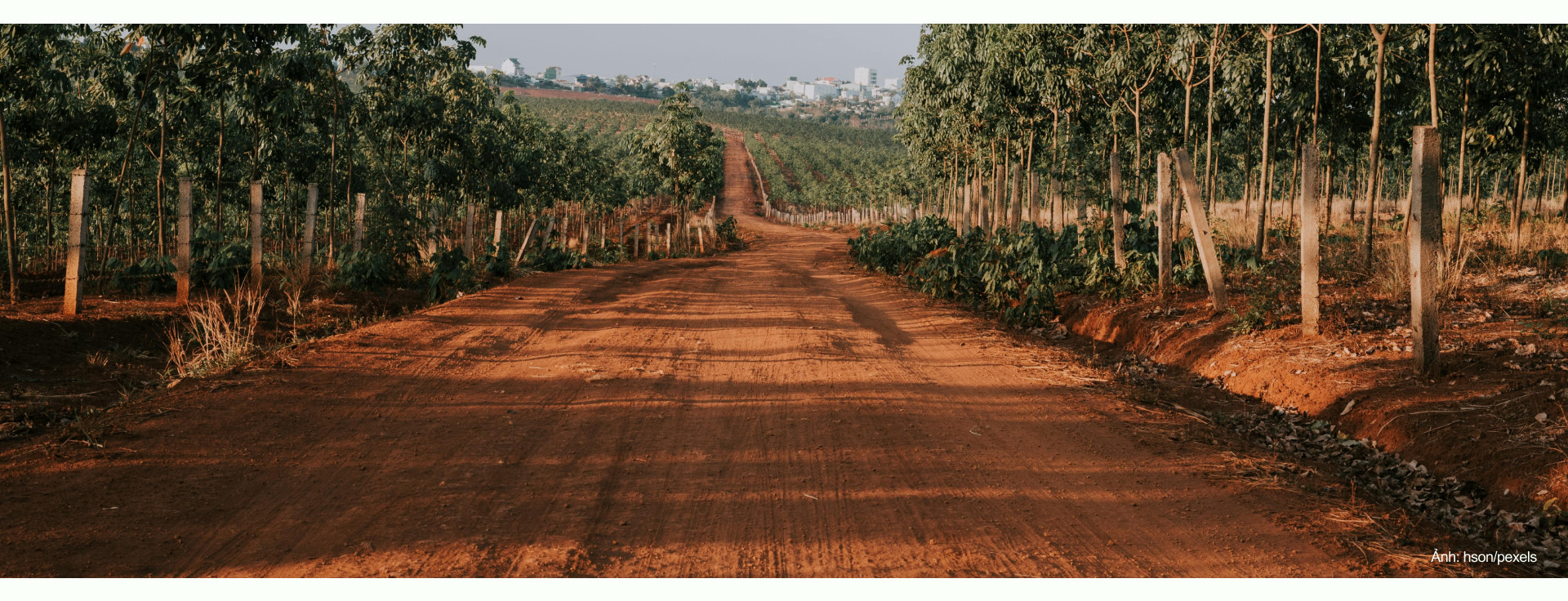 Xa nhà - gần dân: Từ phòng trọ nhỏ đến thể chế lớn - 5