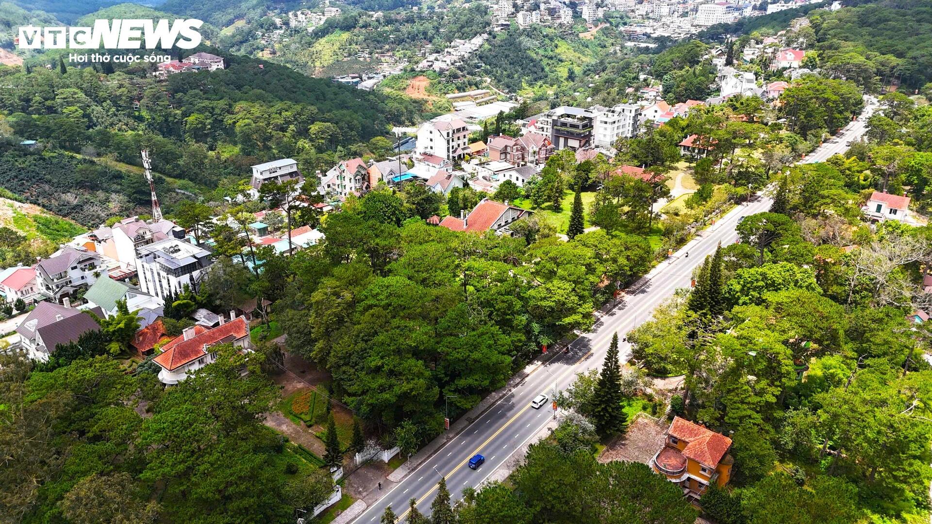 Hai mảnh đối lập của loạt biệt thự cổ được mệnh danh là 'báu vật' ở Đà Lạt - 6