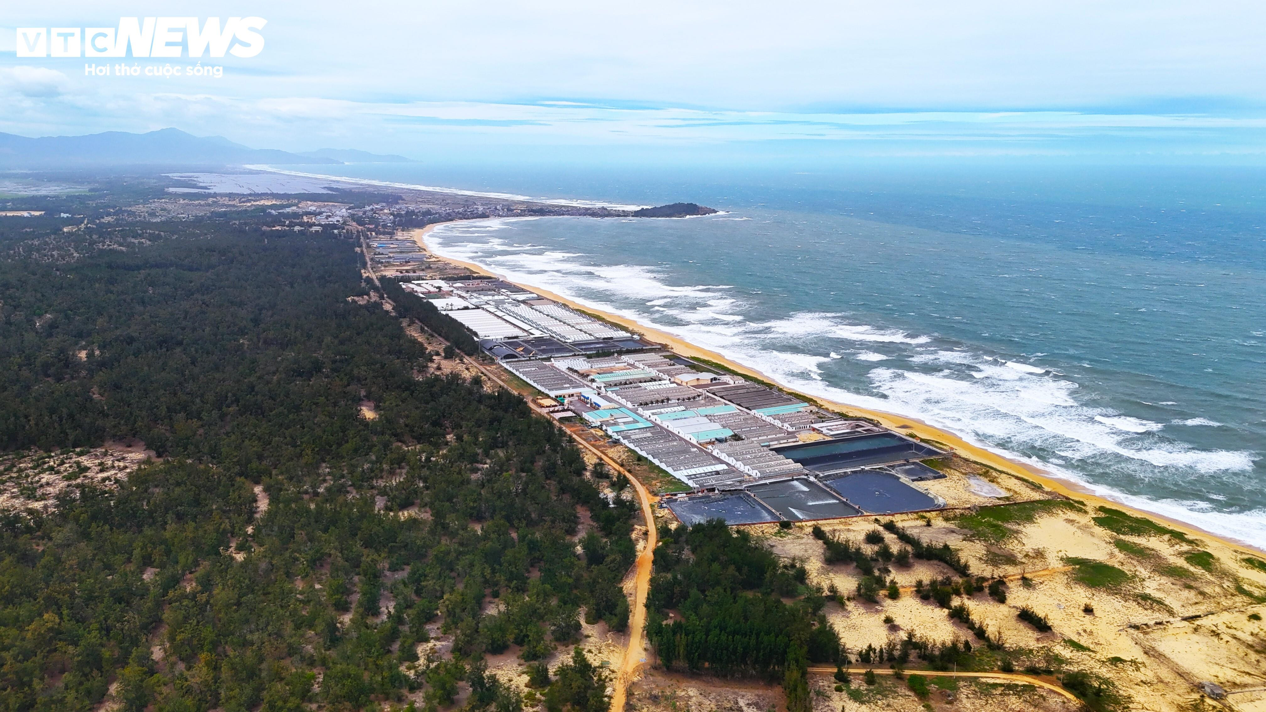 Khởi công, khánh thành hàng loạt dự án trọng điểm tại Gia Lai - 8