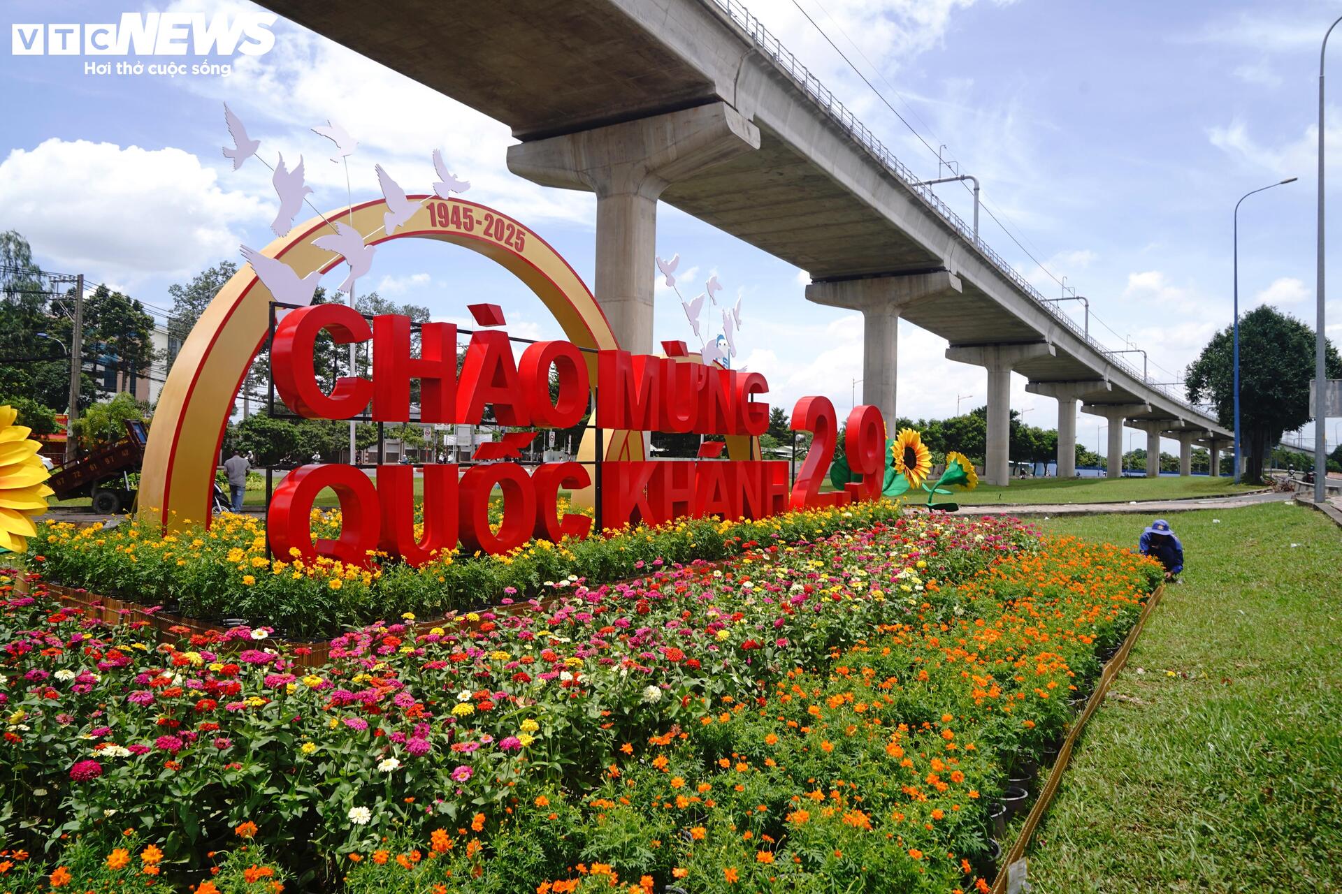 TP.HCM rực rỡ cờ hoa trước thềm Quốc khánh 2/9 - 7