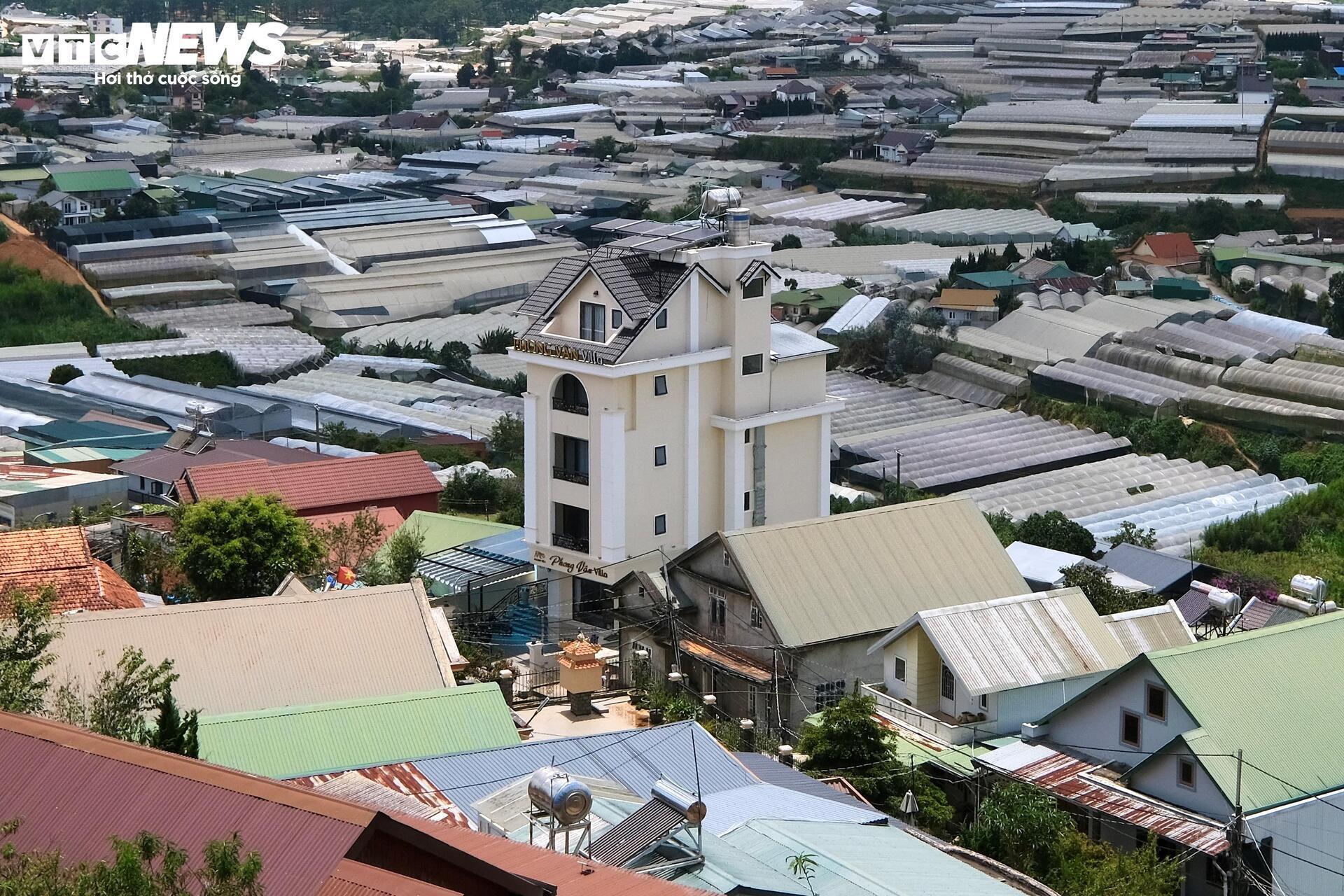 Đà Lạt mộng mơ nay thành phố của bê tông, nhà kính - 15