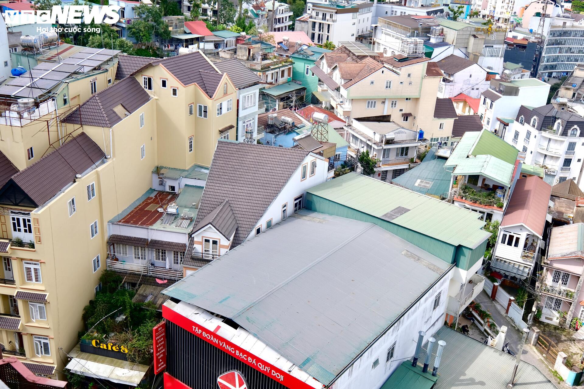 Đà Lạt mộng mơ nay thành phố của bê tông, nhà kính - 4