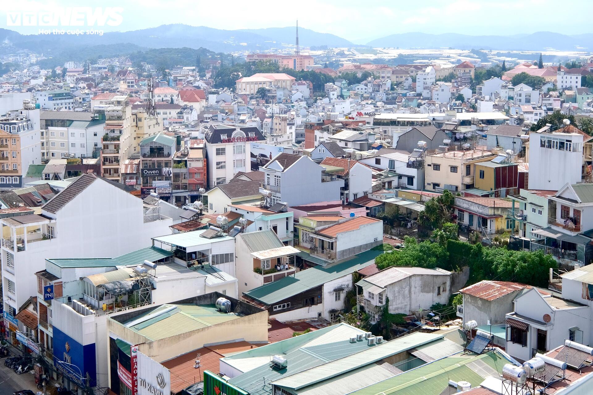 Đà Lạt mộng mơ nay thành phố của bê tông, nhà kính - 2